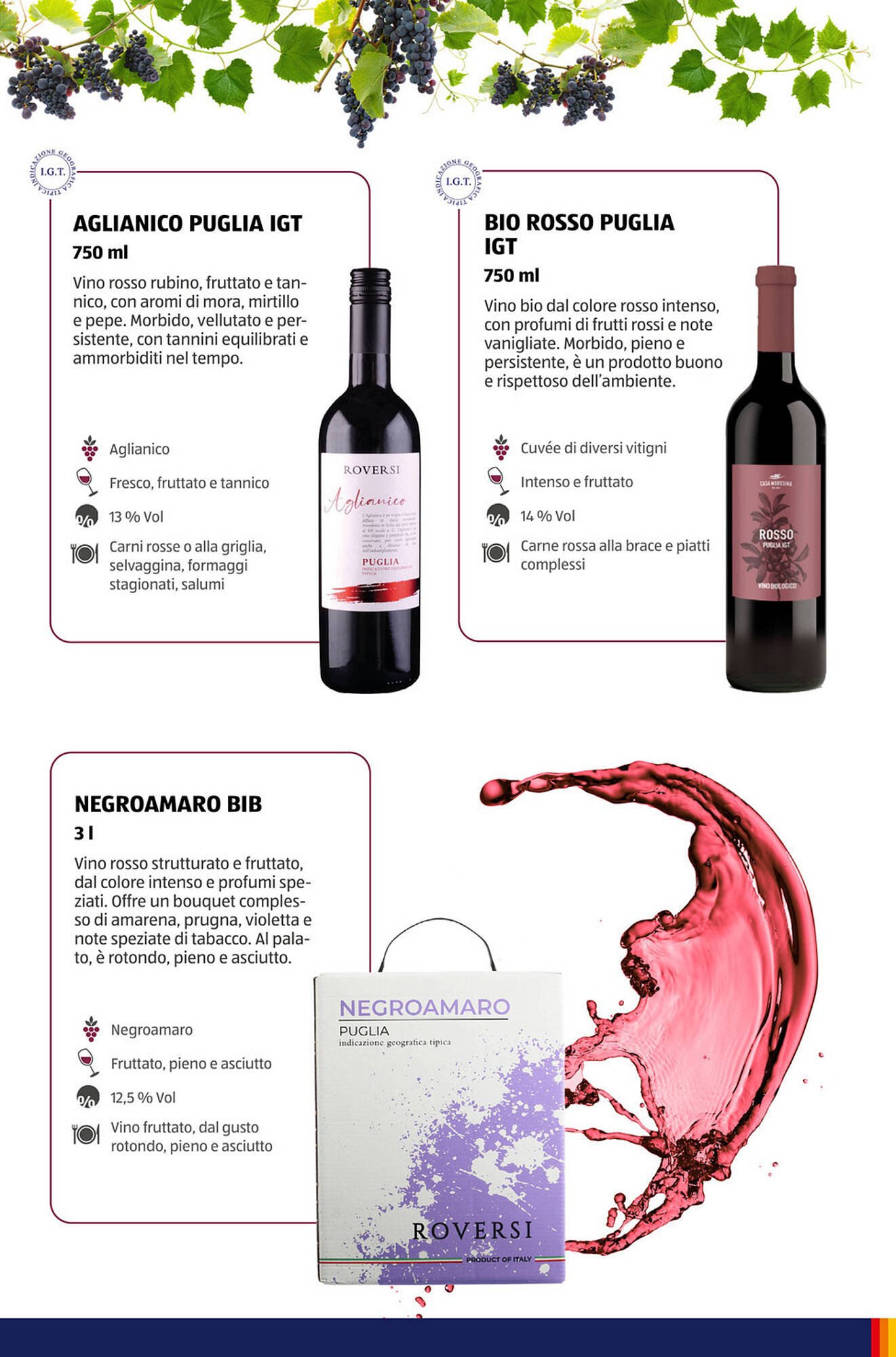 Volantino ALDI (2025-11-09 - 2025-11-15)