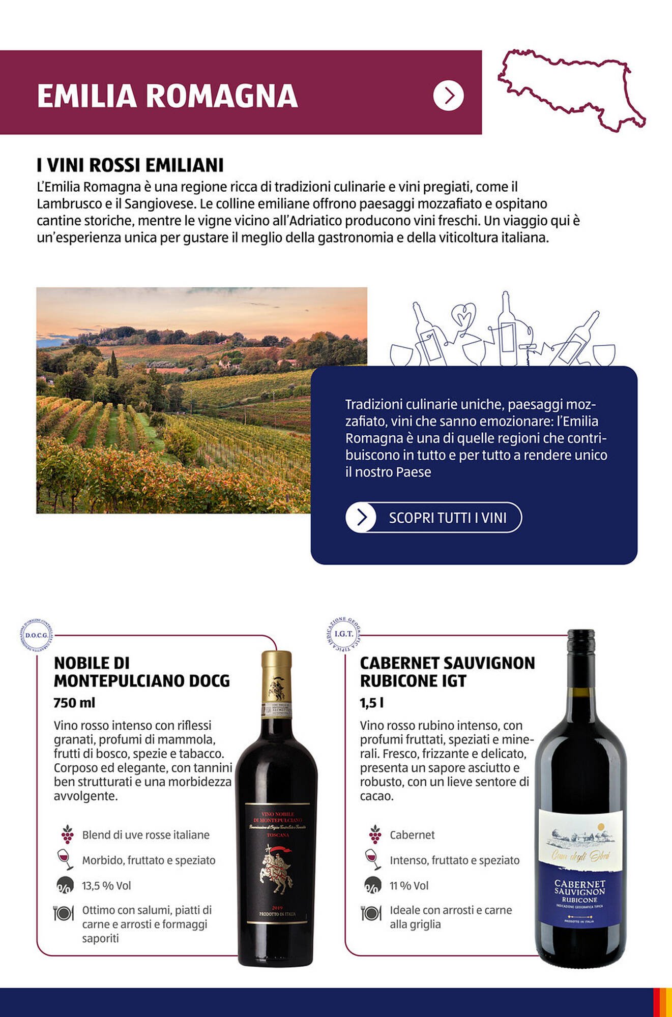 Volantino ALDI (2025-11-09 - 2025-11-15)