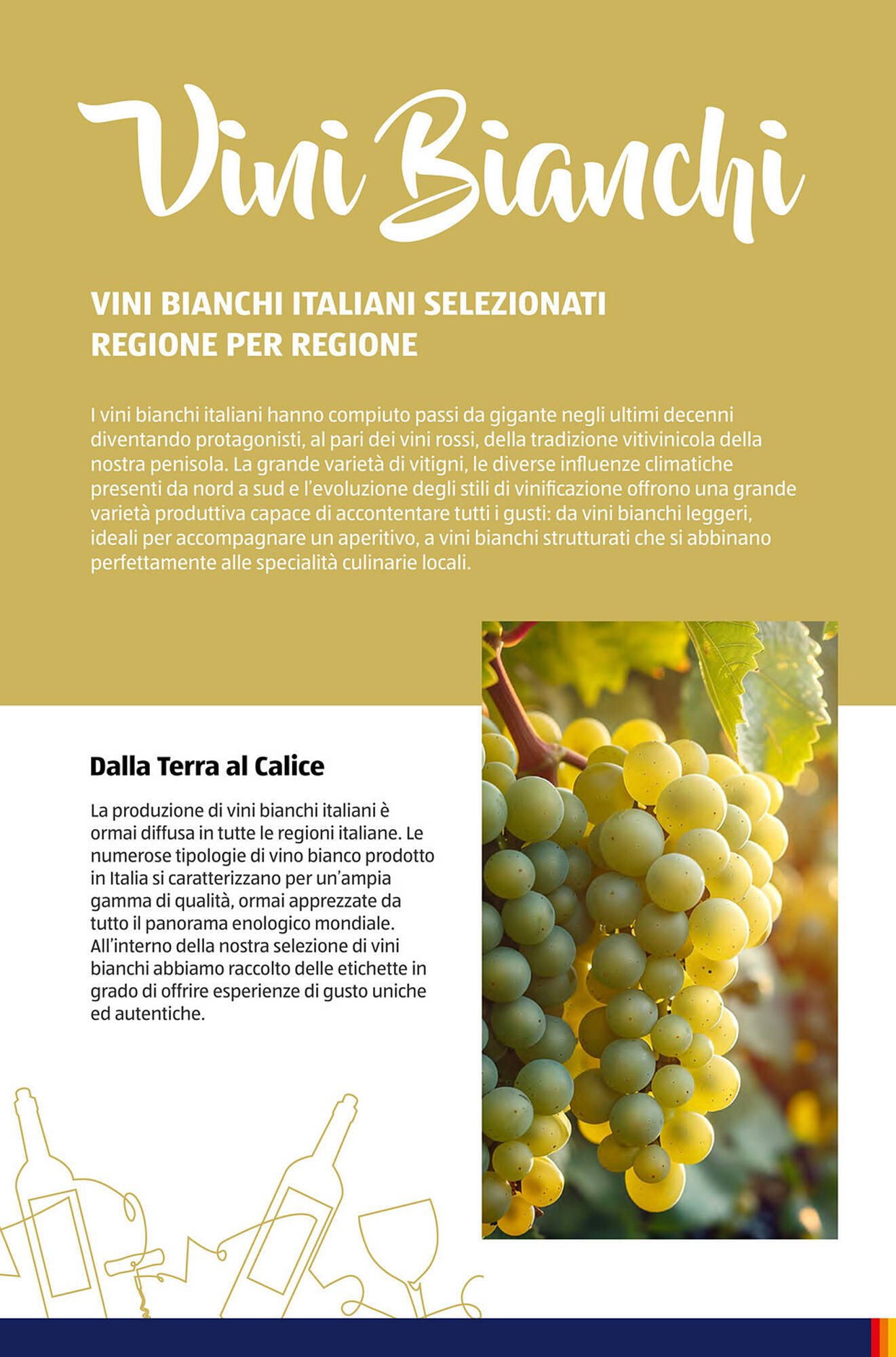 Volantino ALDI (2025-11-09 - 2025-11-15)