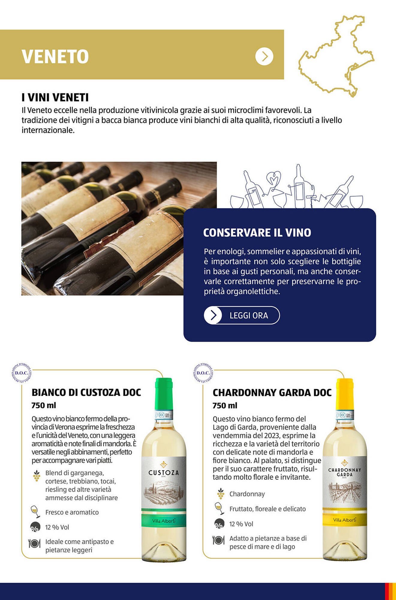 Volantino ALDI (2025-11-09 - 2025-11-15)