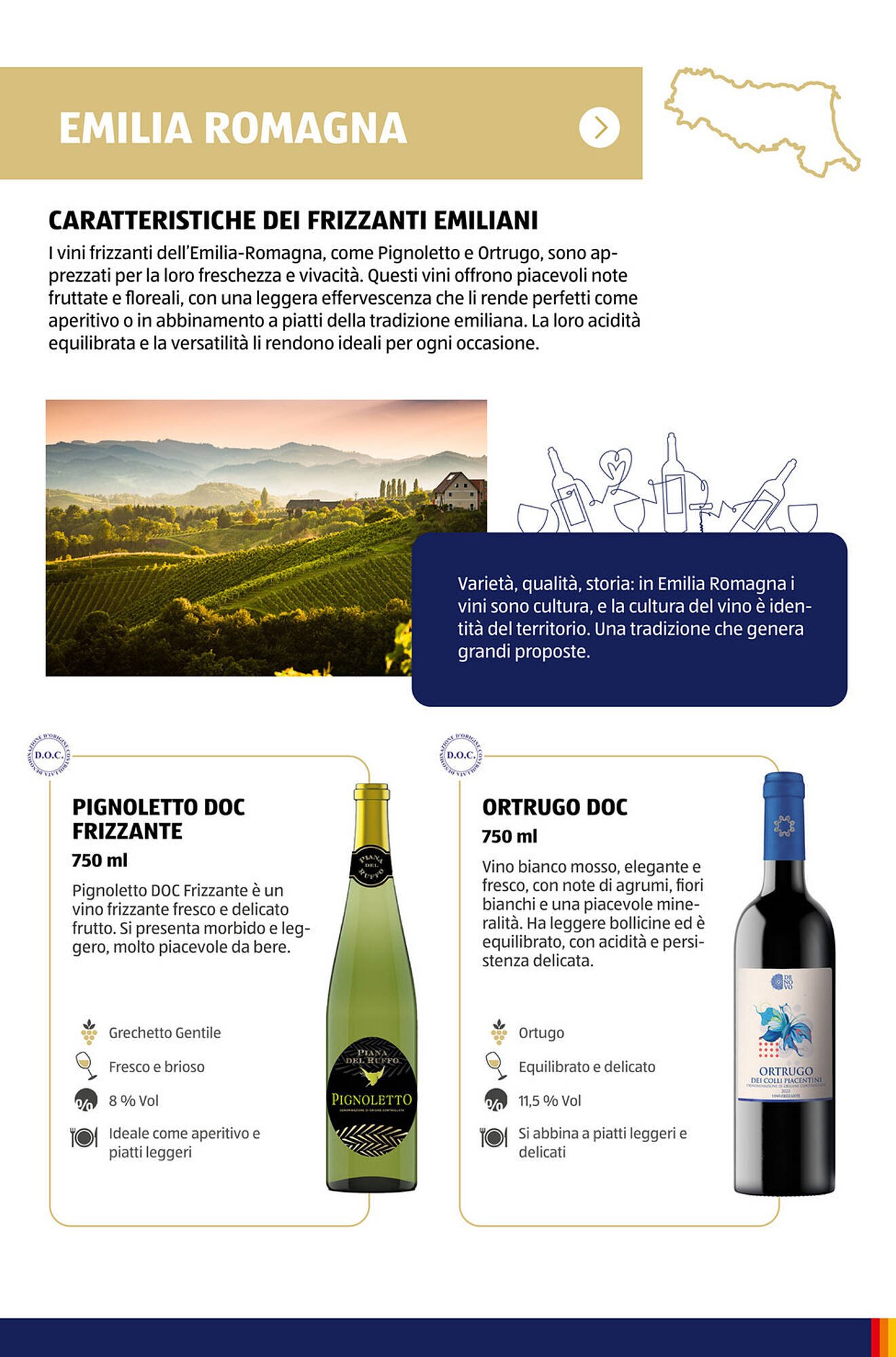 Volantino ALDI (2025-11-09 - 2025-11-15)