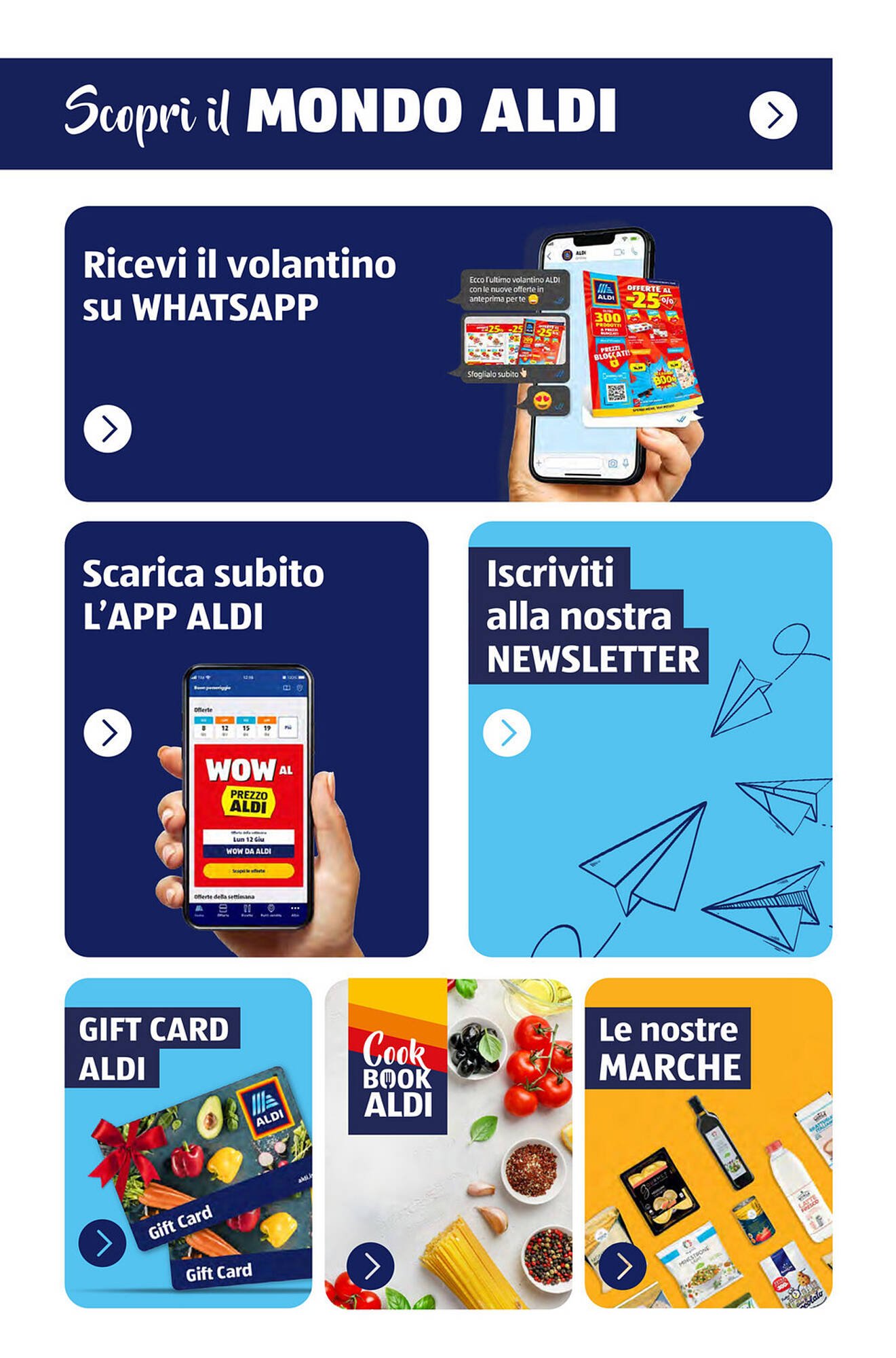 Volantino ALDI (2025-11-09 - 2025-11-15)