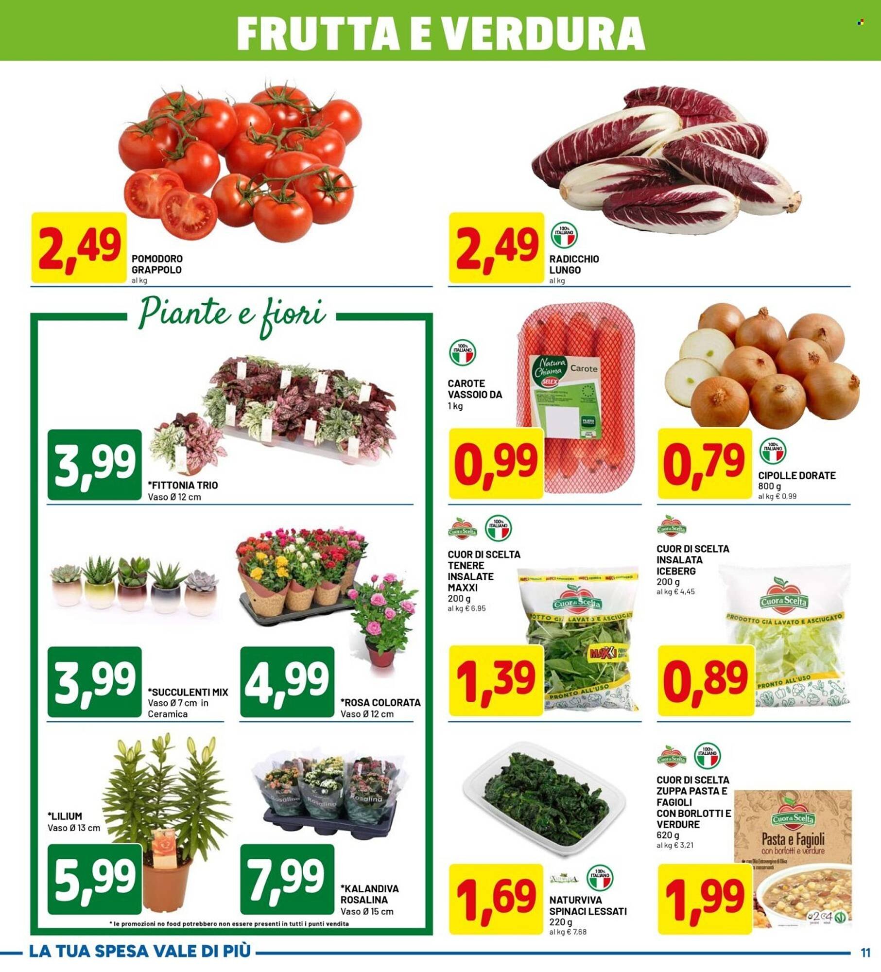 Volantino DPiù (2025-11-06 - 2025-11-15)