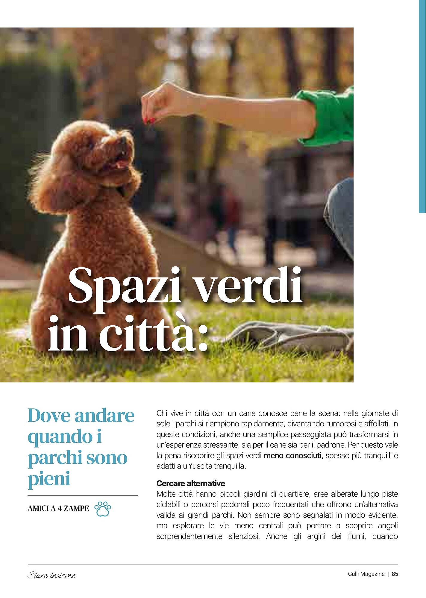 Volantino Supermercati Gulliver (2026-03-06 - 2026-03-31)