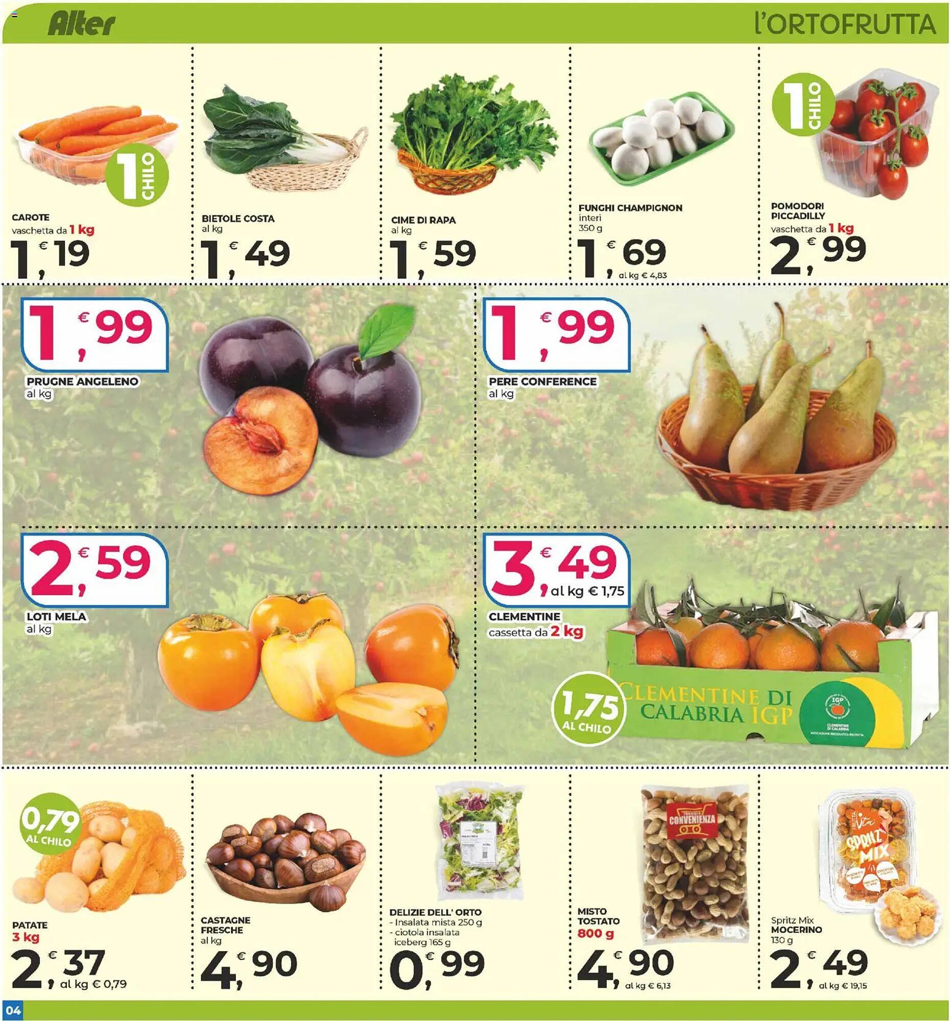 Volantino Alter Discount (2025-10-30 - 2025-11-13)