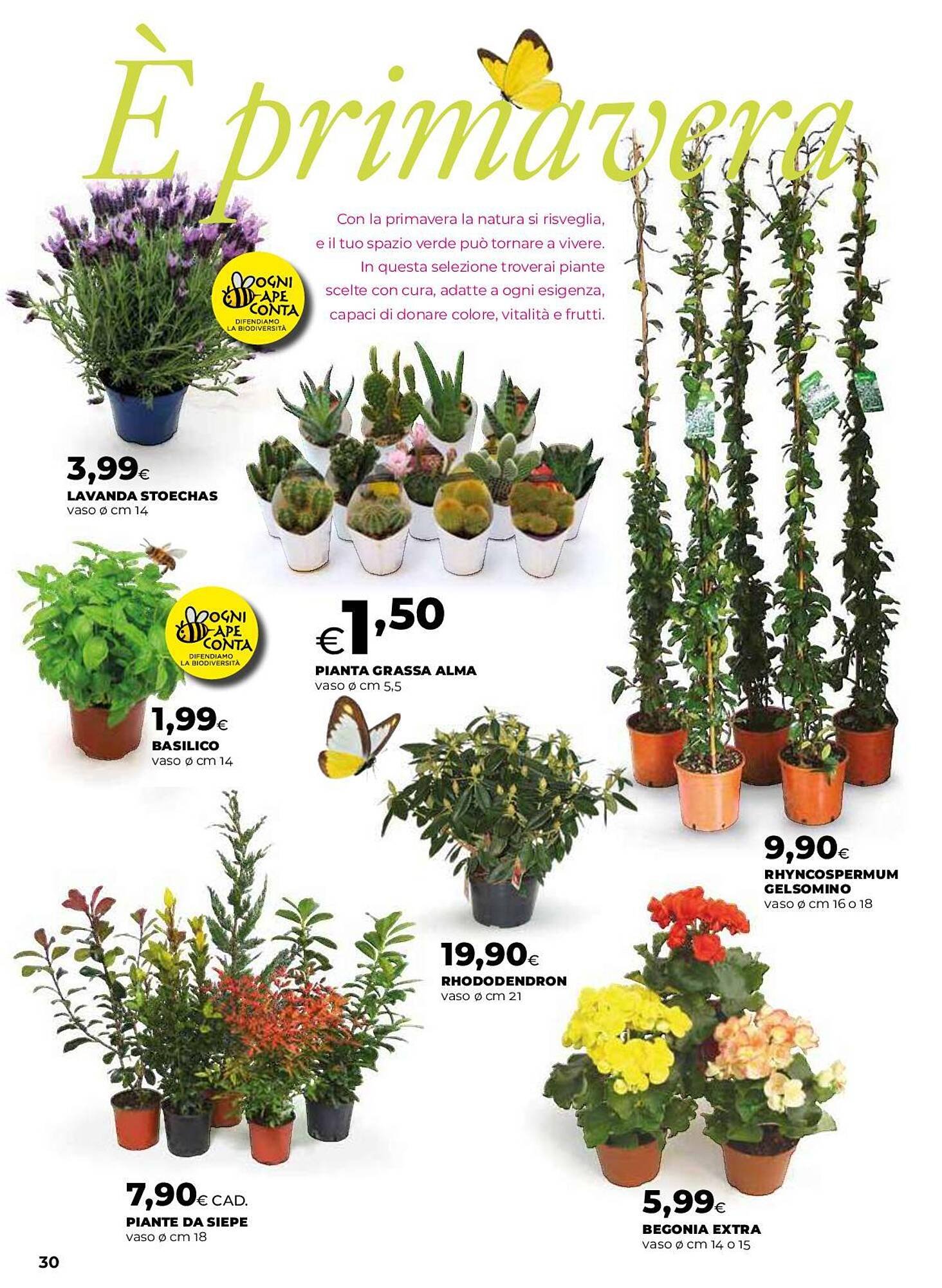 Volantino Ipercoop (2026-03-12 - 2026-04-22)