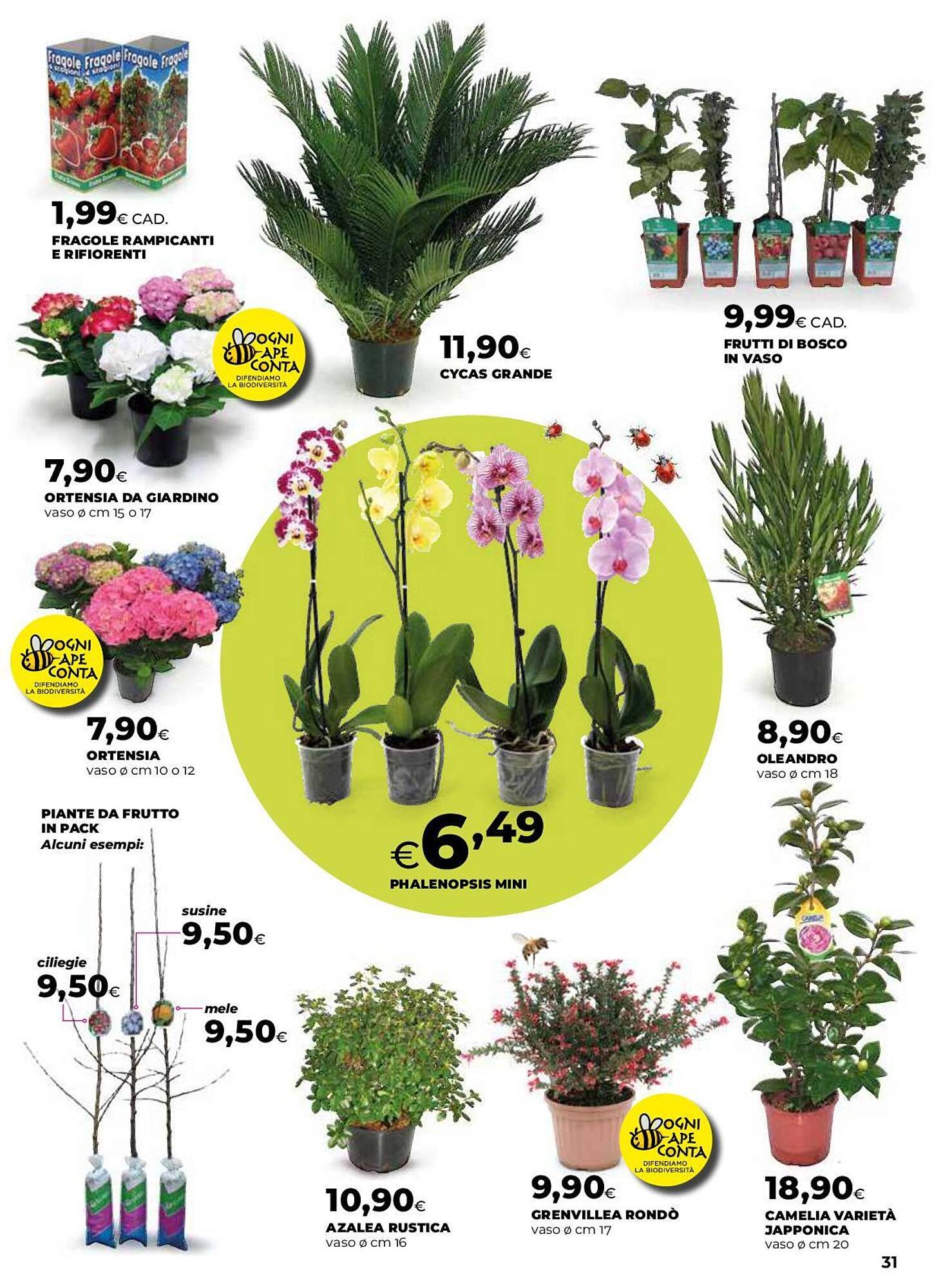 Volantino Ipercoop (2026-03-12 - 2026-04-22)