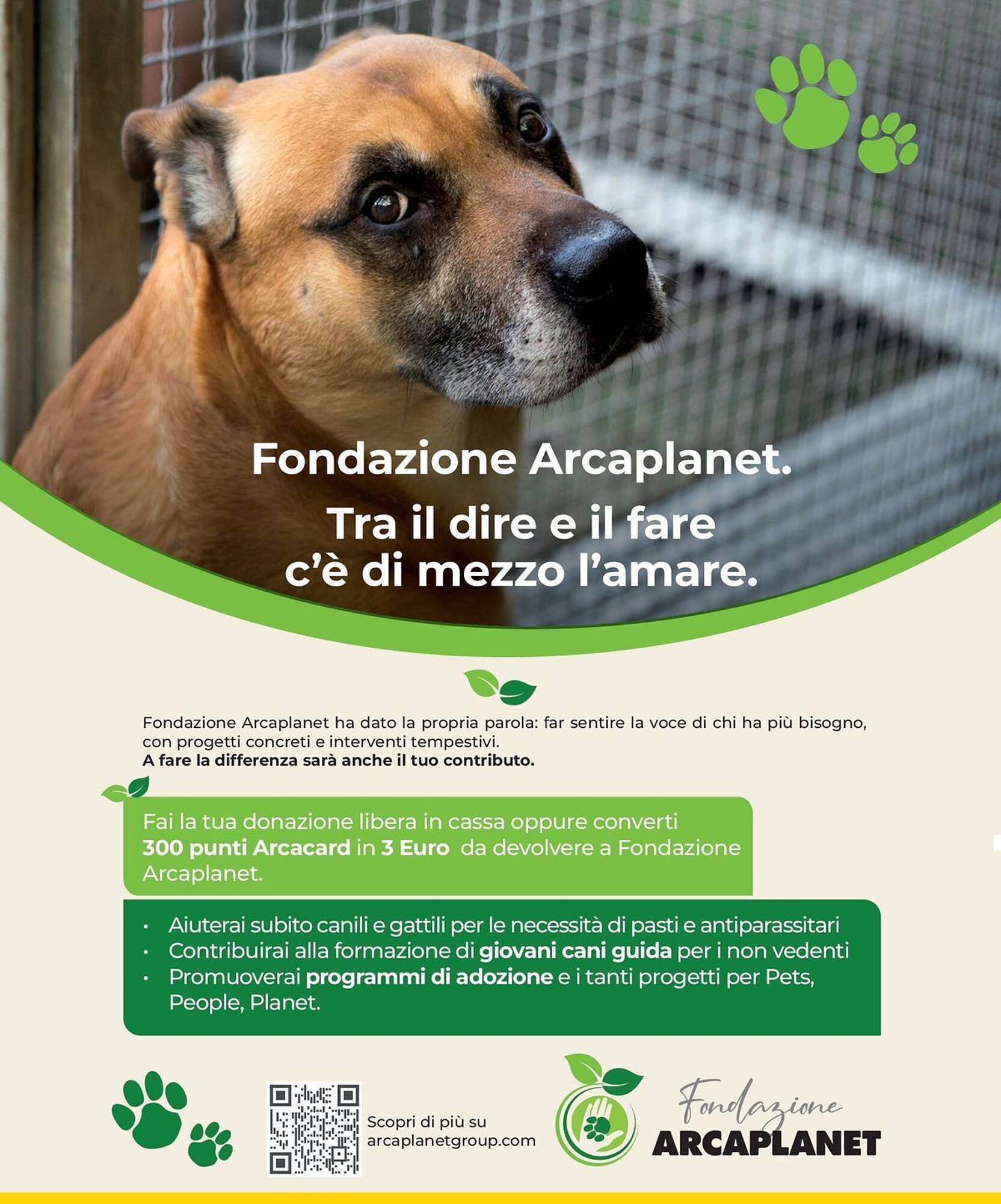 Volantino Arcaplanet (2025-11-17 - 2025-11-23)