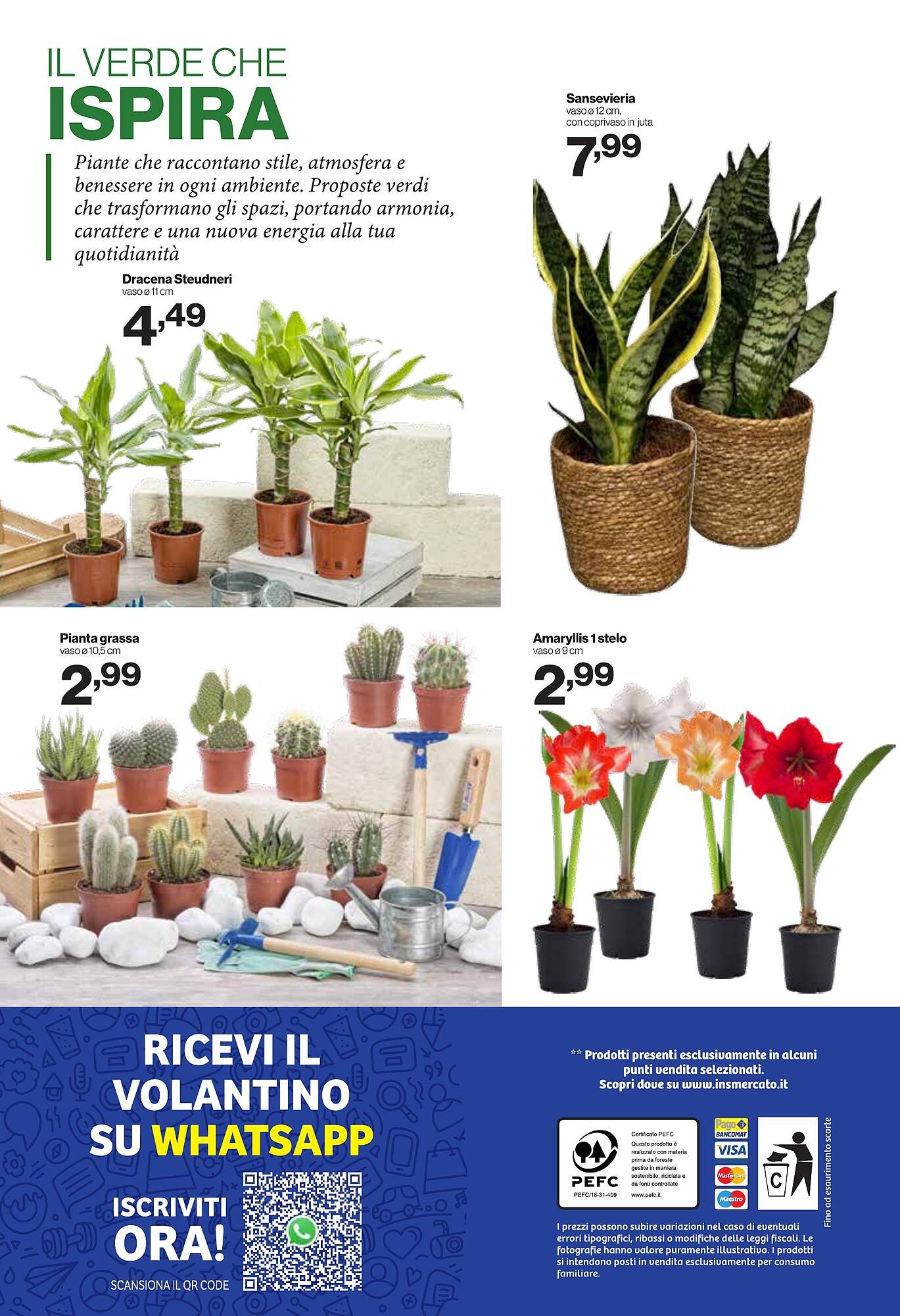 Volantino In'S Mercato (2025-12-31 - 2026-01-11)