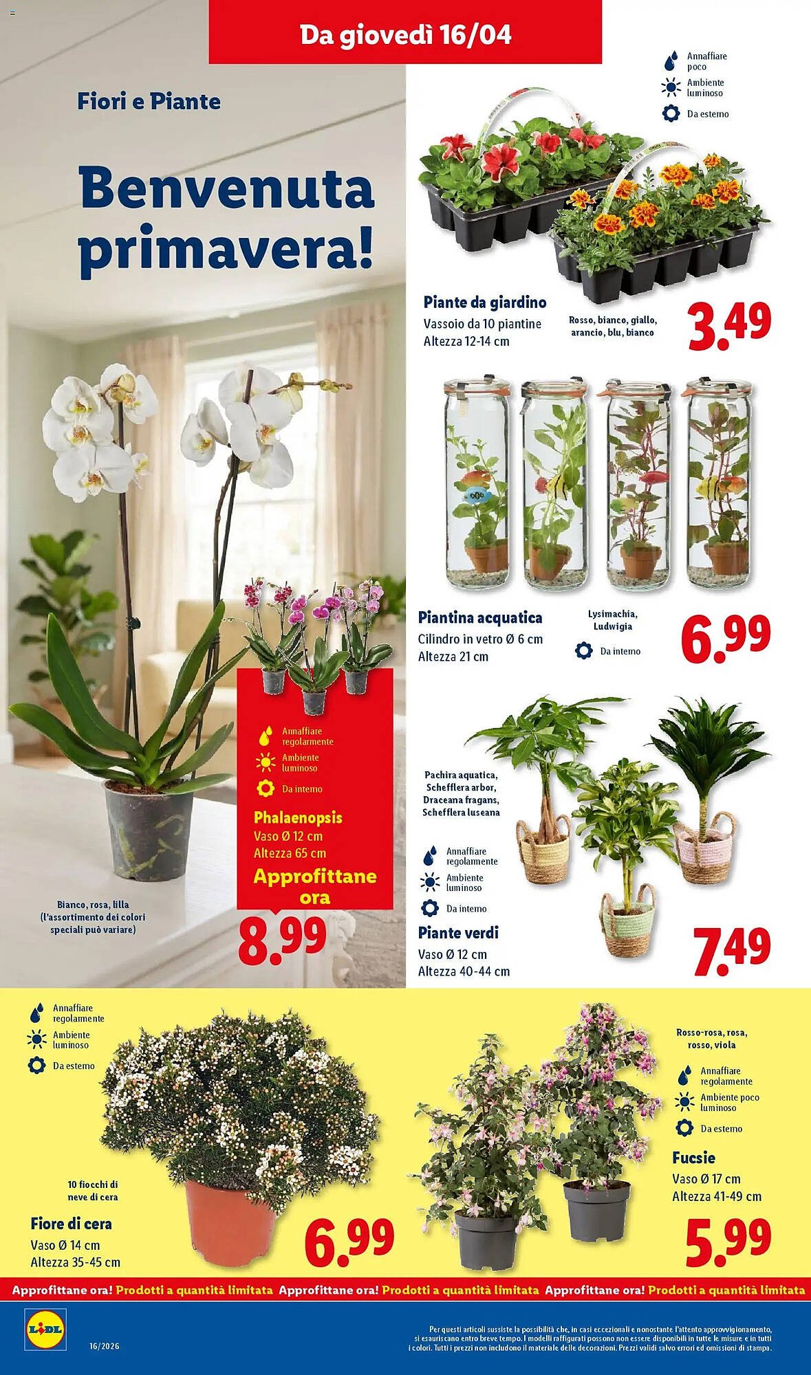 Volantino Lidl (2026-04-16 - 2026-04-22)