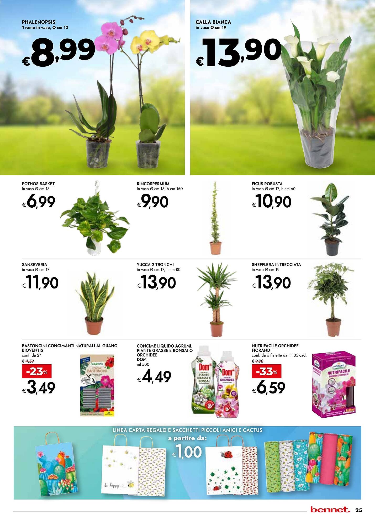 Volantino Bennet (2026-03-12 - 2026-03-25)