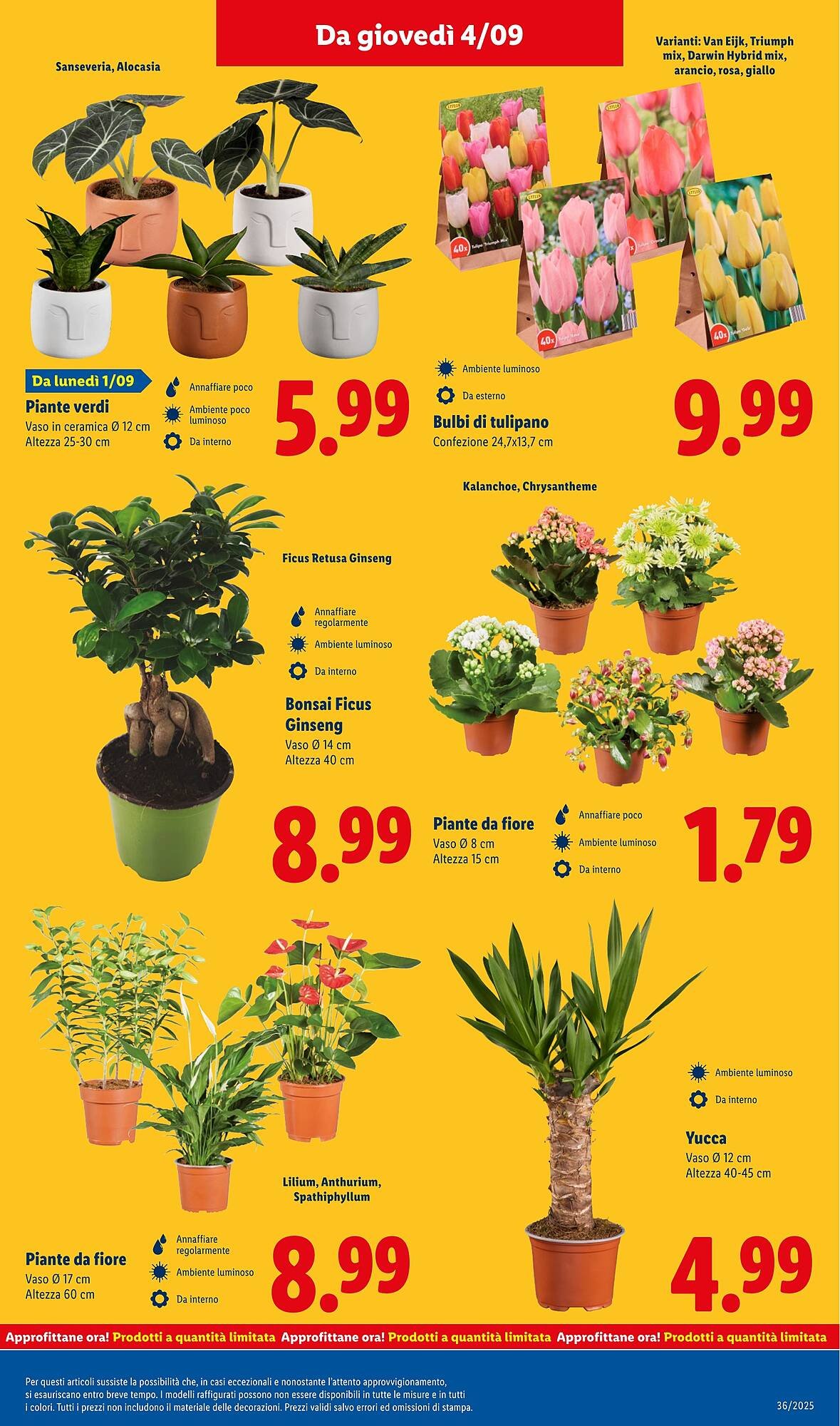 Volantino Lidl (2025-09-01 - 2025-09-07)
