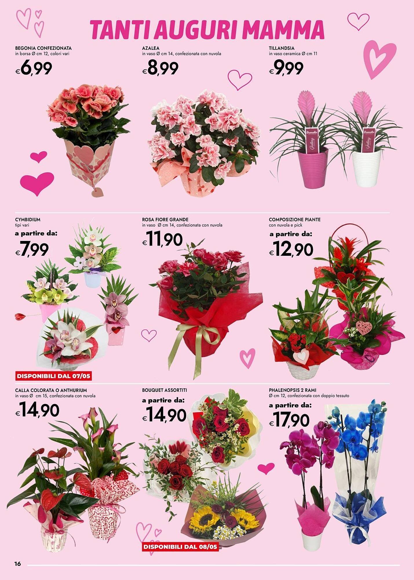 Volantino Bennet (2026-04-30 - 2026-05-13)