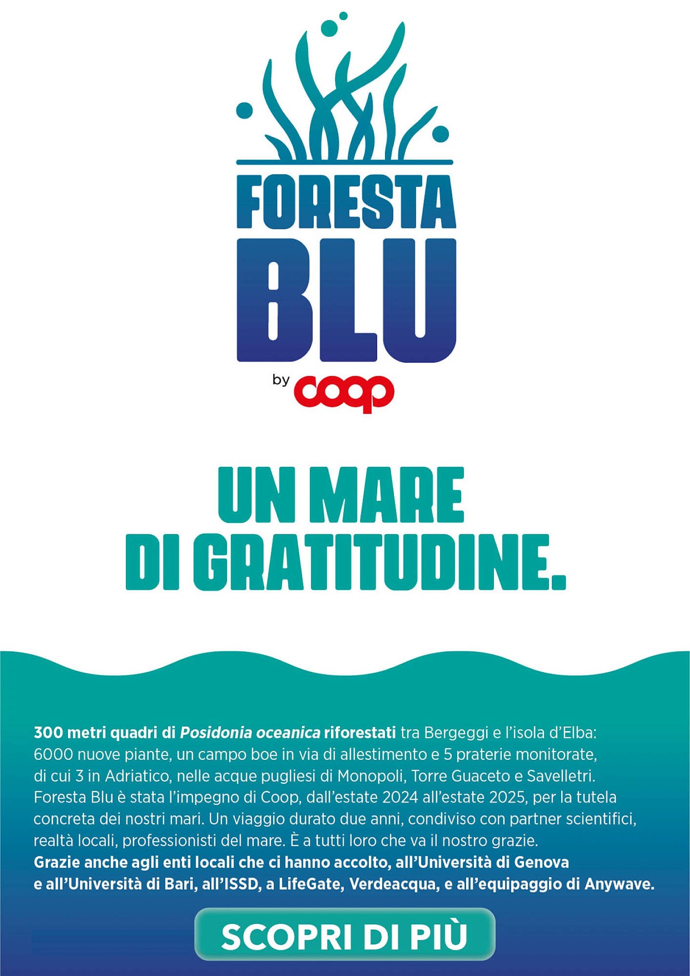 Volantino Ipercoop (2025-10-09 - 2025-10-22)