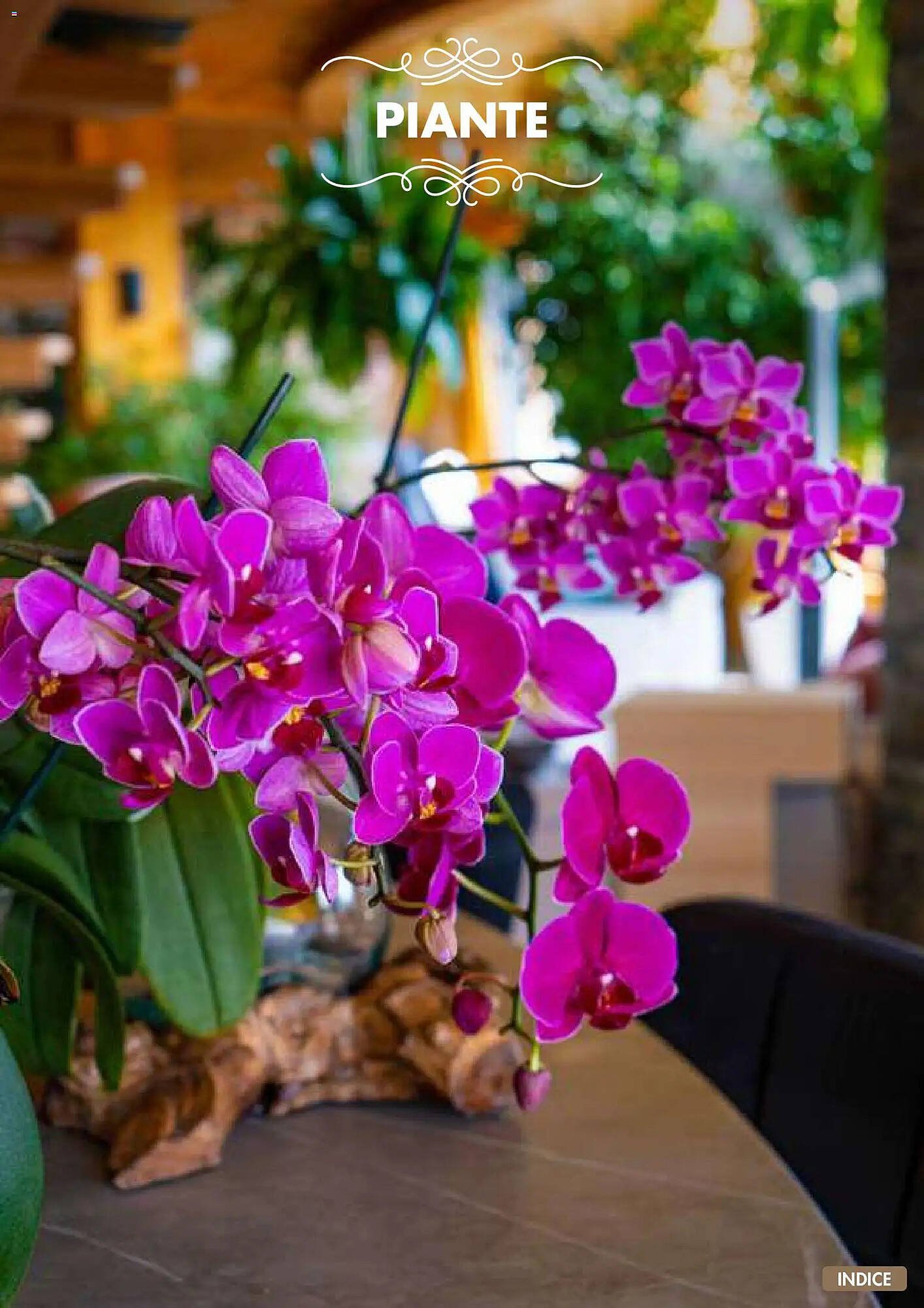 Volantino Italmark (2025-11-10 - 2025-12-31)