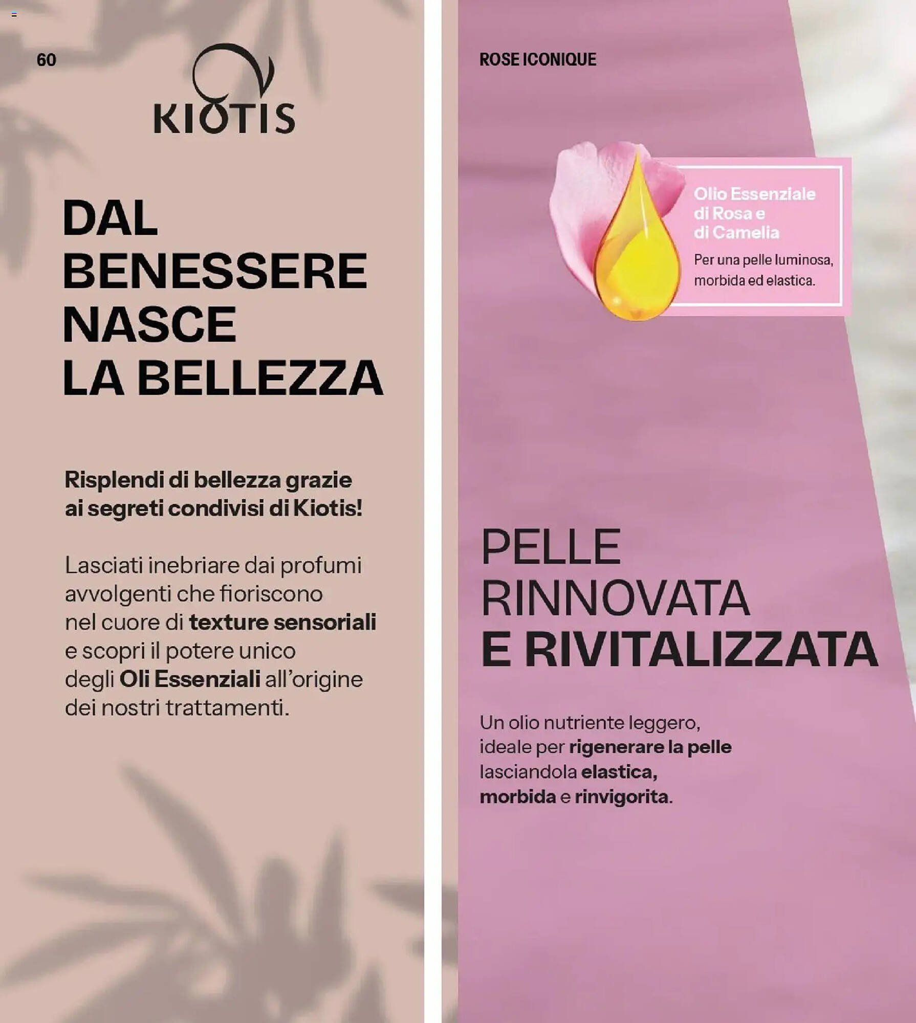 Catalogo Stanhome (2026-03-10 - 2026-03-27)