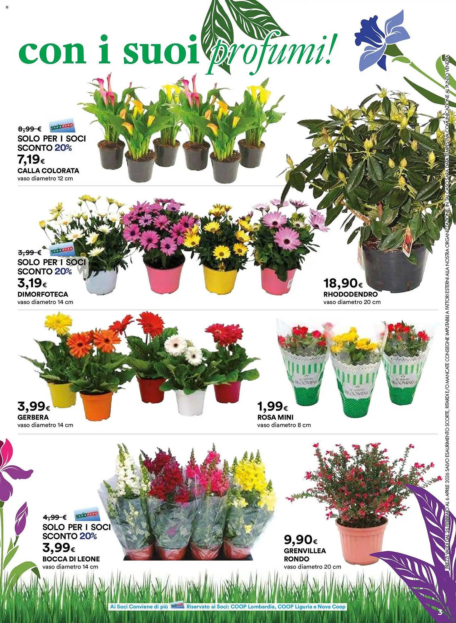 Volantino Ipercoop (2026-02-26 - 2026-04-06)