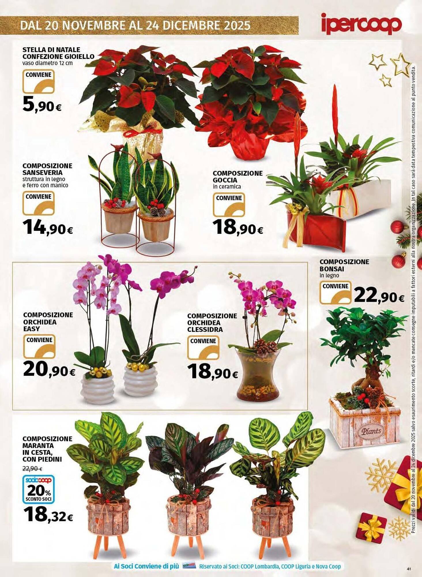 Volantino Ipercoop (2025-11-20 - 2025-12-24)