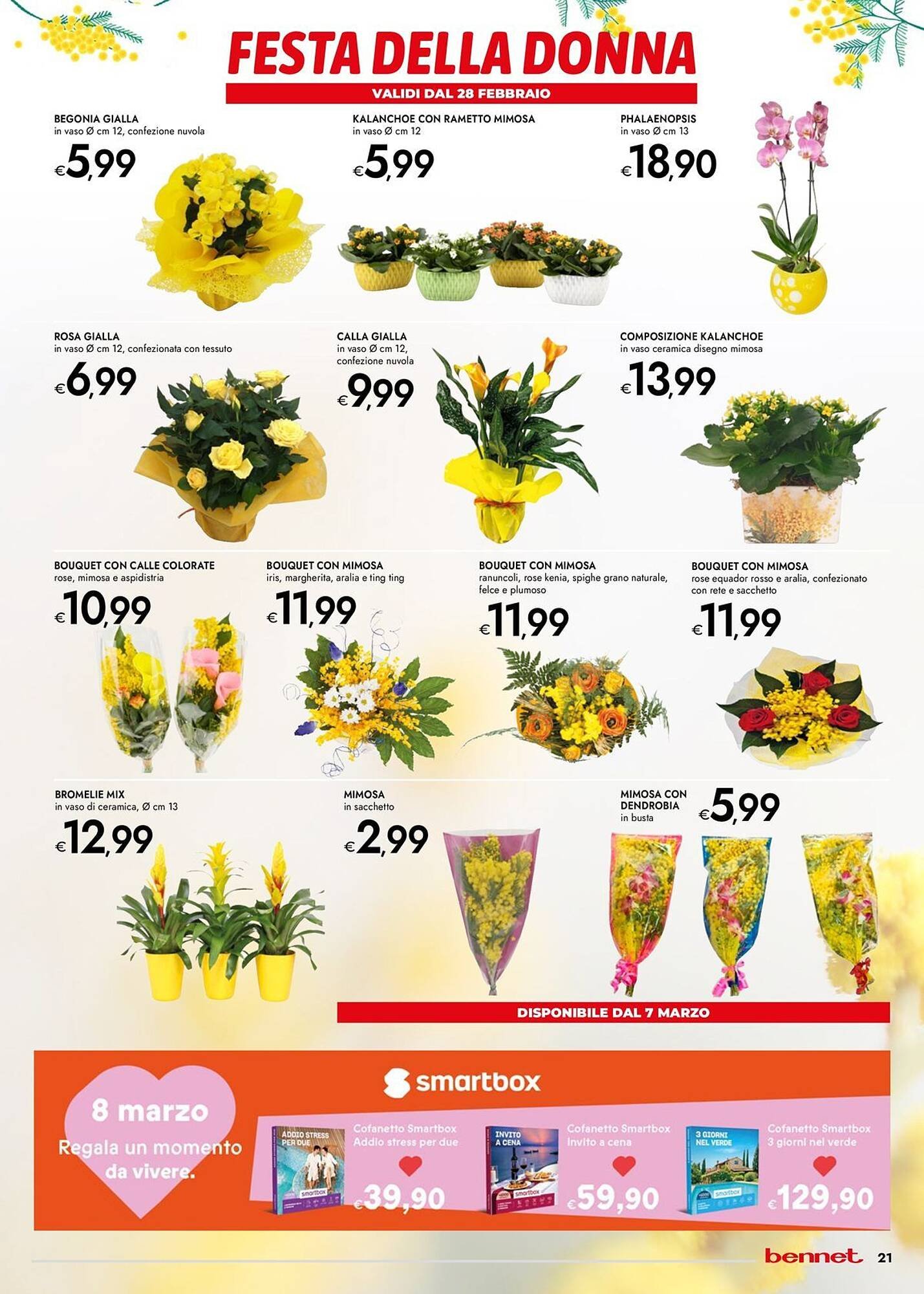 Volantino Bennet (2026-02-26 - 2026-03-11)