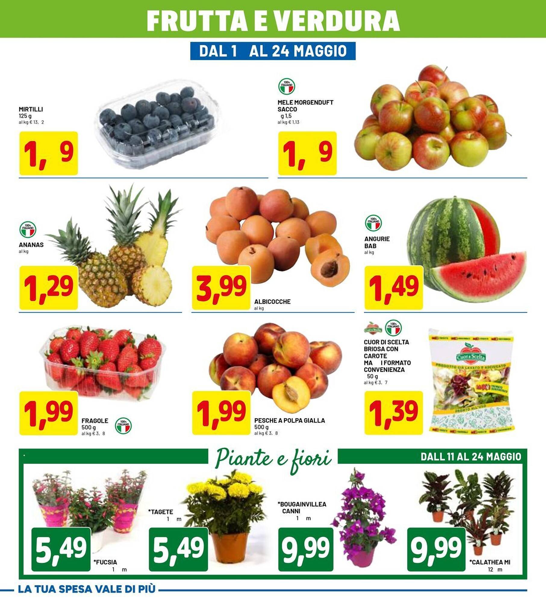 Volantino DPiù (2026-05-11 - 2026-05-24)