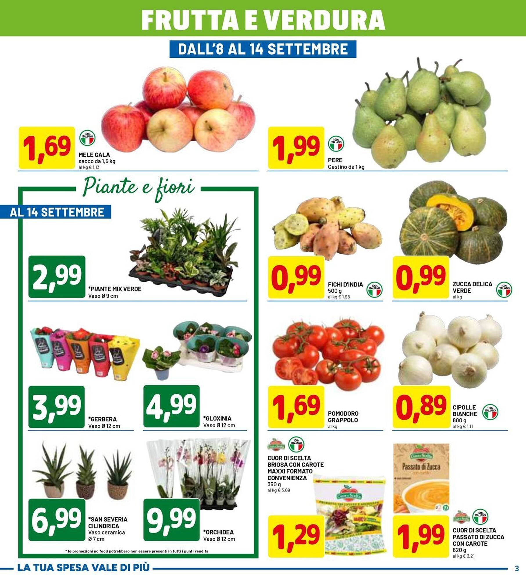 Volantino DPiù (2025-09-01 - 2025-09-14)