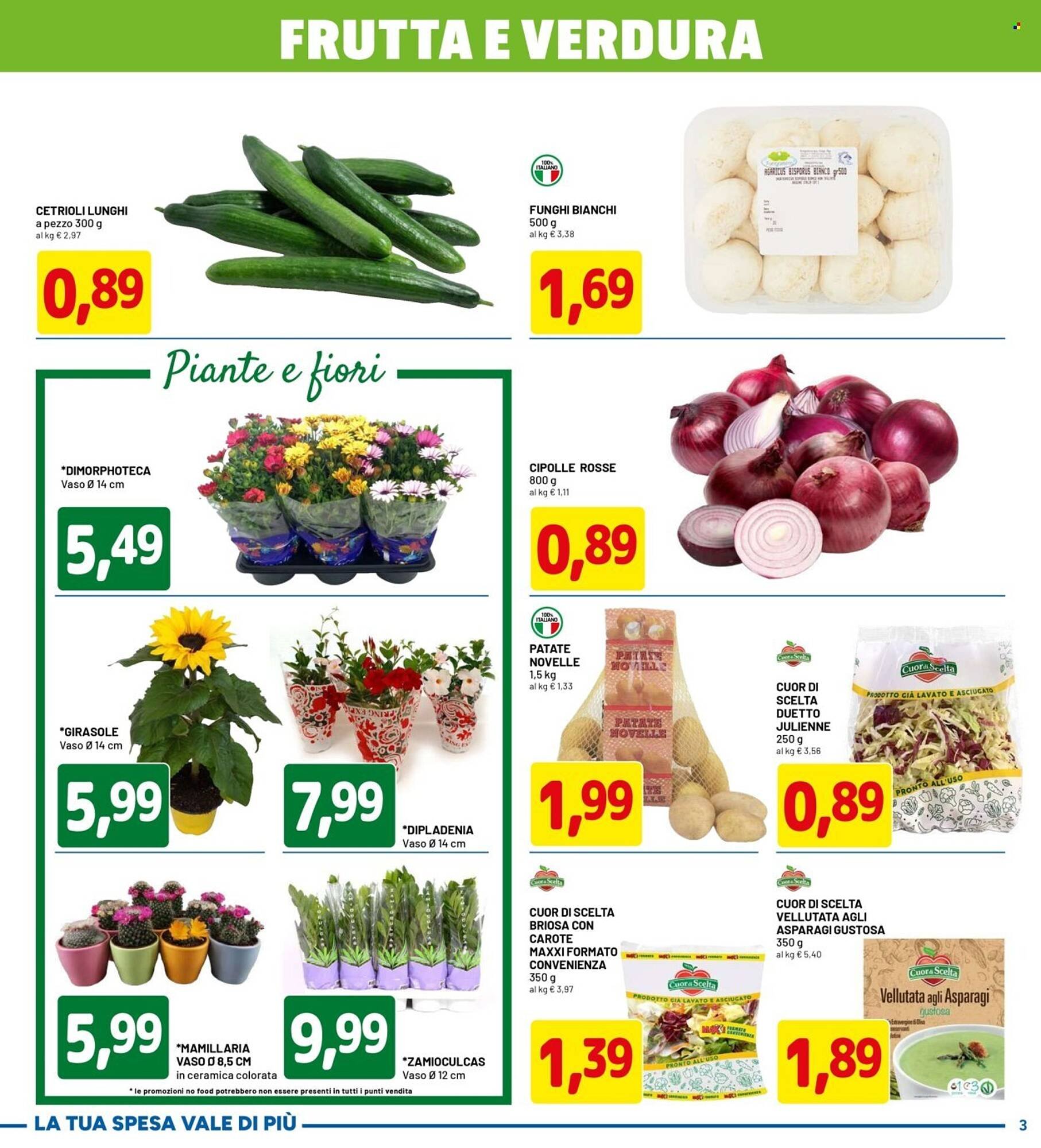 Volantino DPiù (2026-04-20 - 2026-04-29)