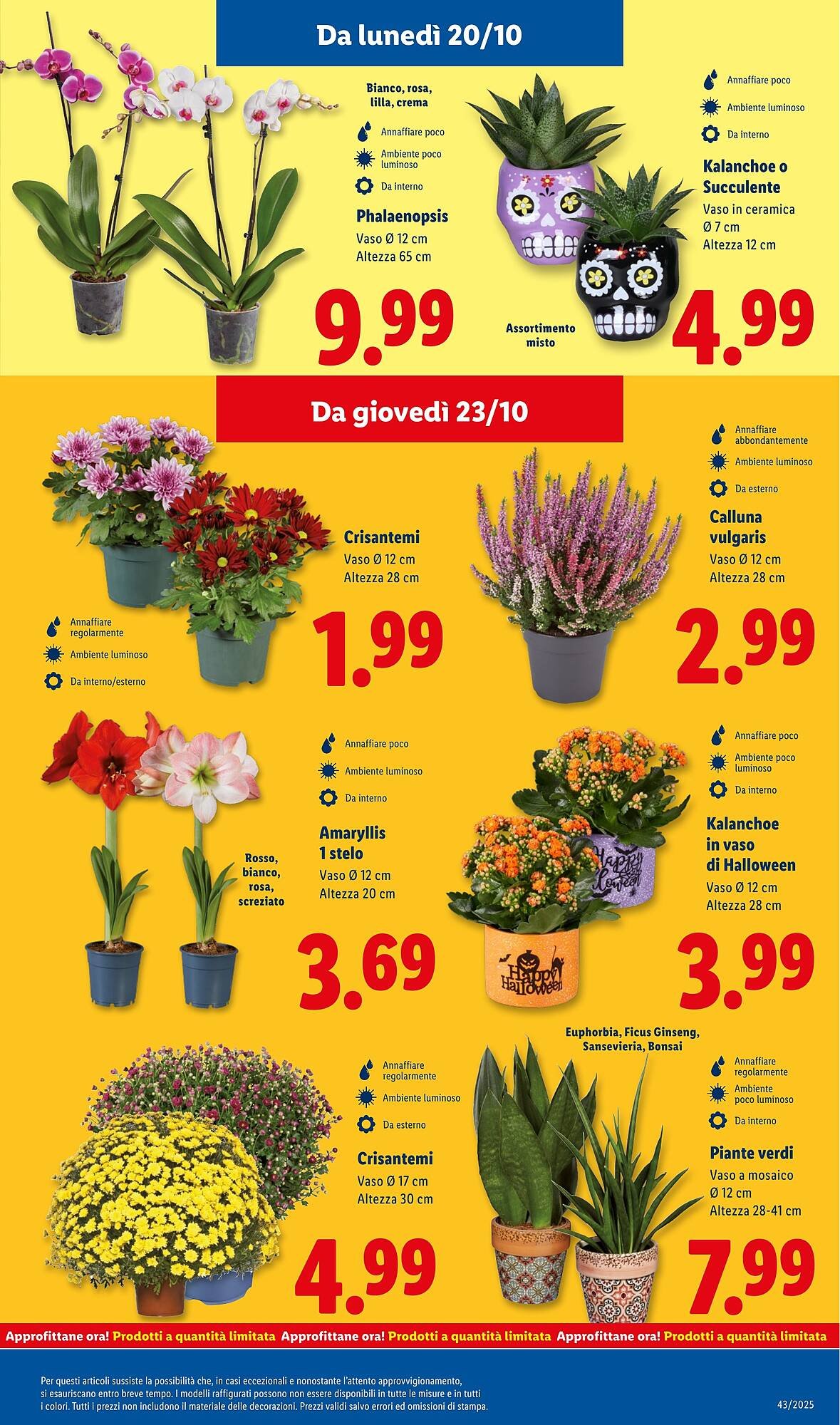 Volantino Lidl (2025-10-20 - 2025-10-26)