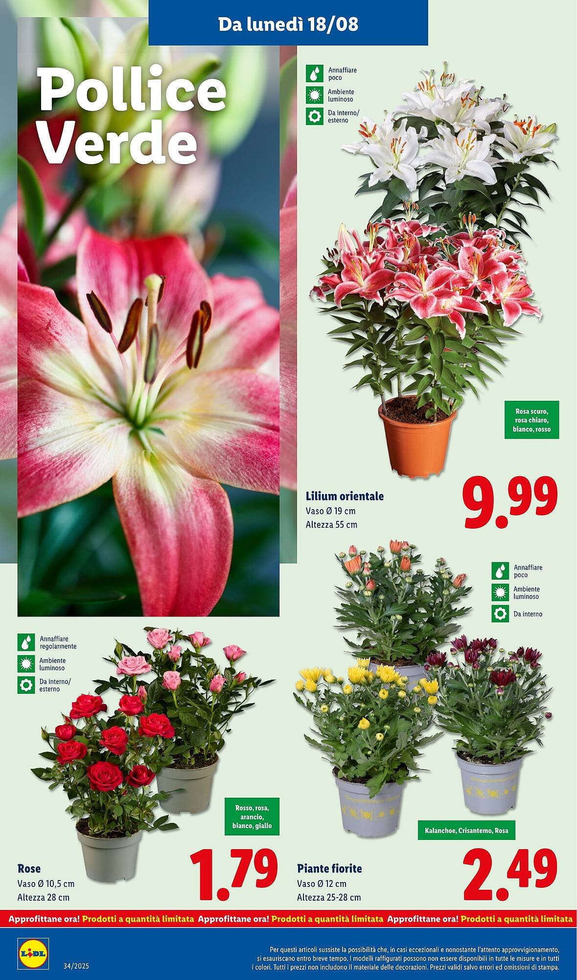 Volantino Lidl (2025-08-18 - 2025-08-24)
