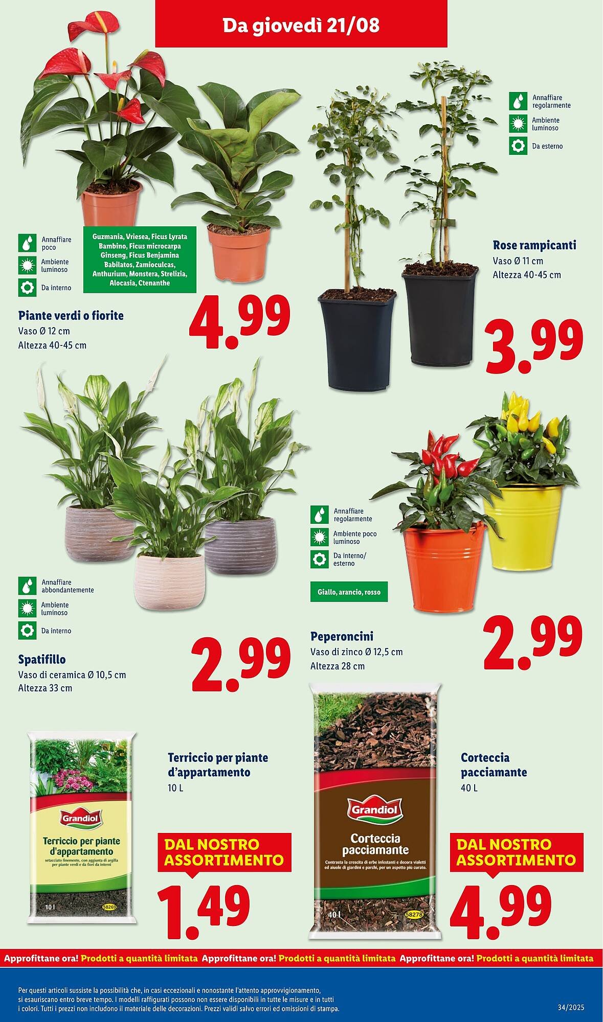 Volantino Lidl (2025-08-18 - 2025-08-24)