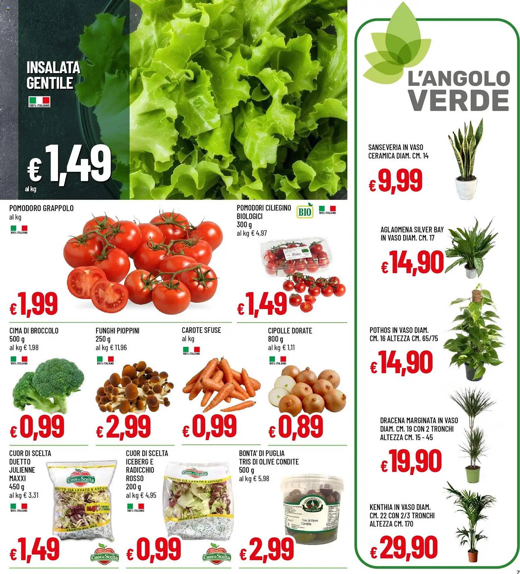 Volantino Galassia (2026-03-16 - 2026-03-25)