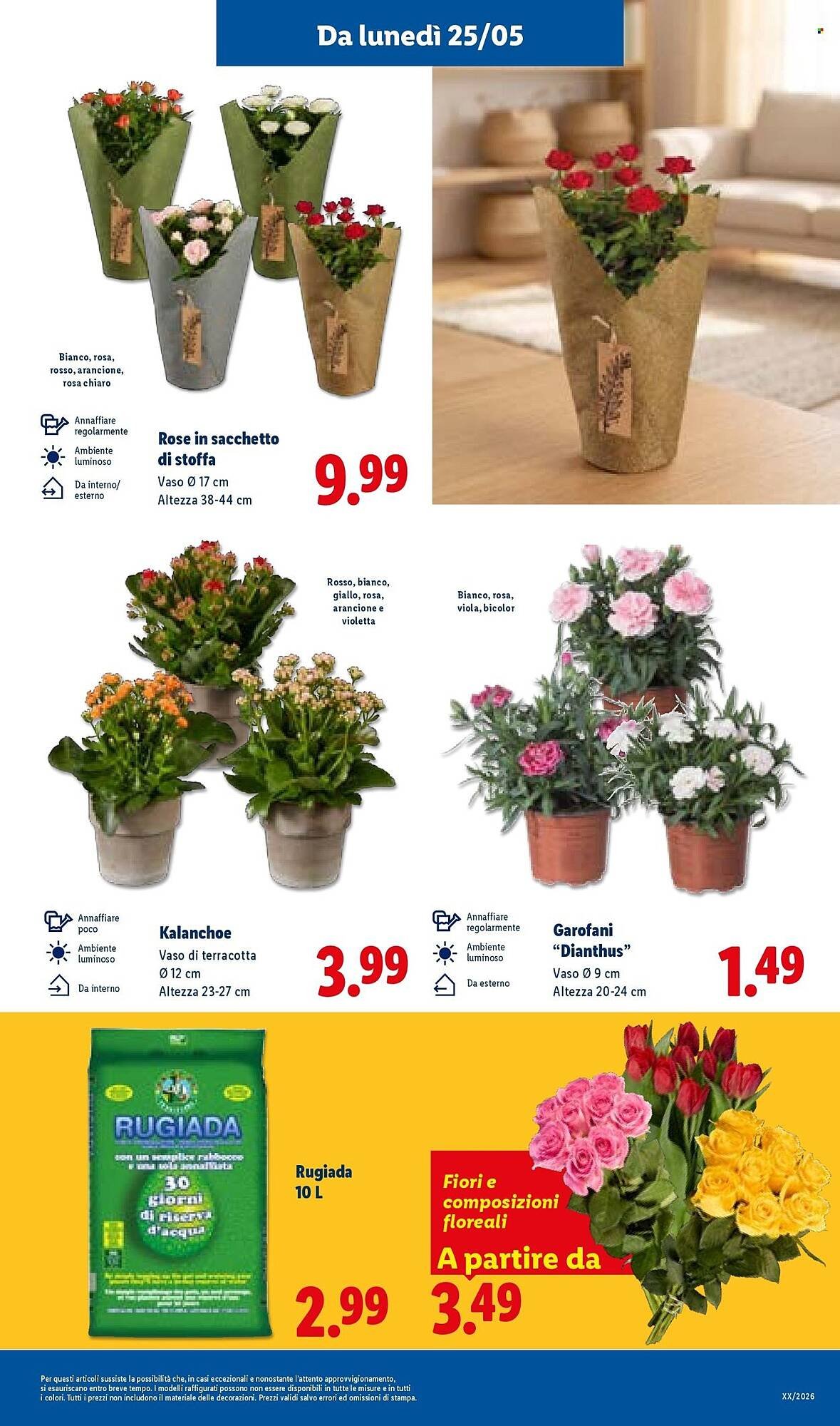 Volantino Lidl (2026-05-21 - 2026-05-27)