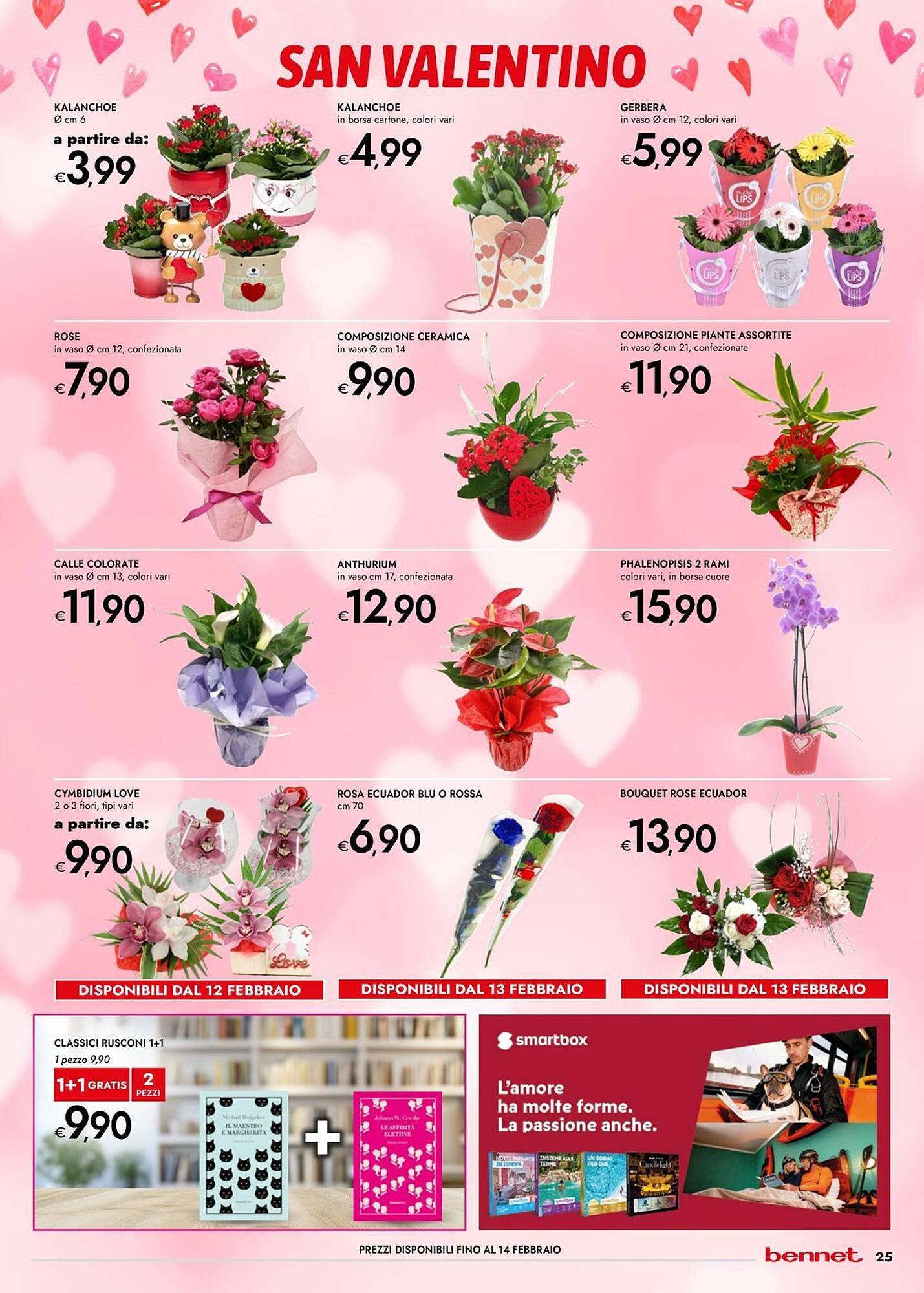 Volantino Bennet (2026-01-29 - 2026-02-11)