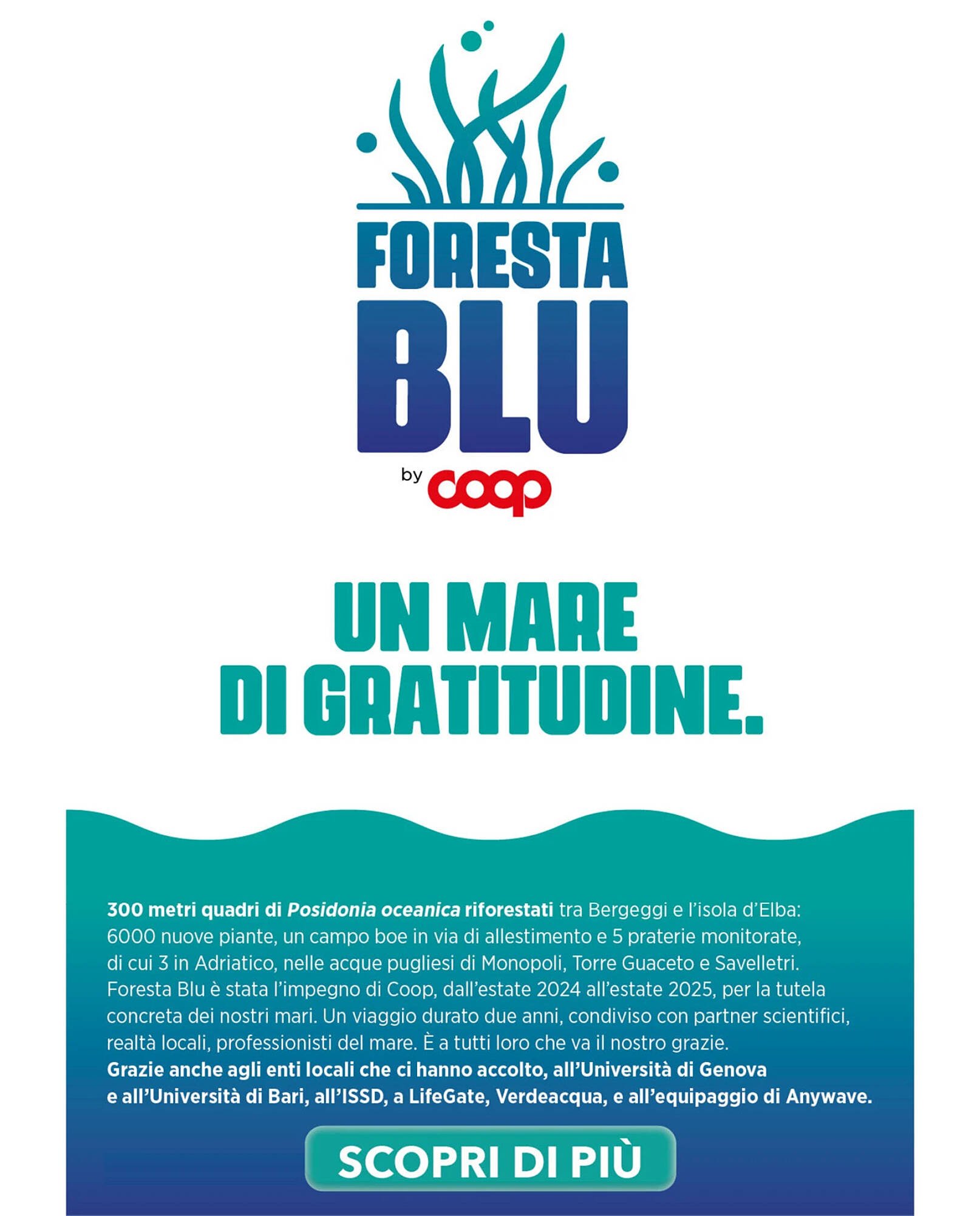 Volantino Ipercoop (2025-10-16 - 2025-11-12)