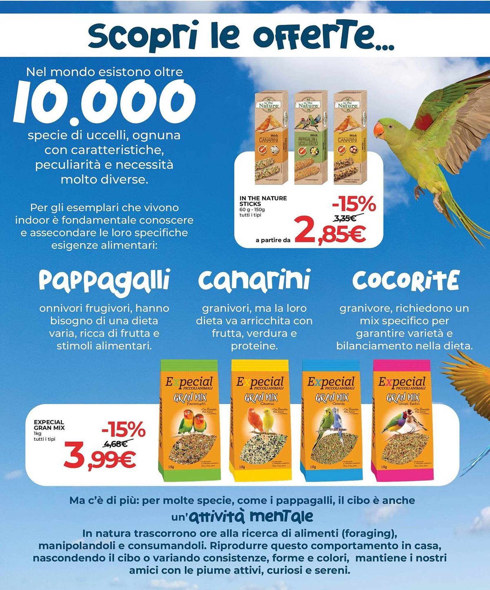 Volantino Arcaplanet (2025-10-01 - 2025-10-19)
