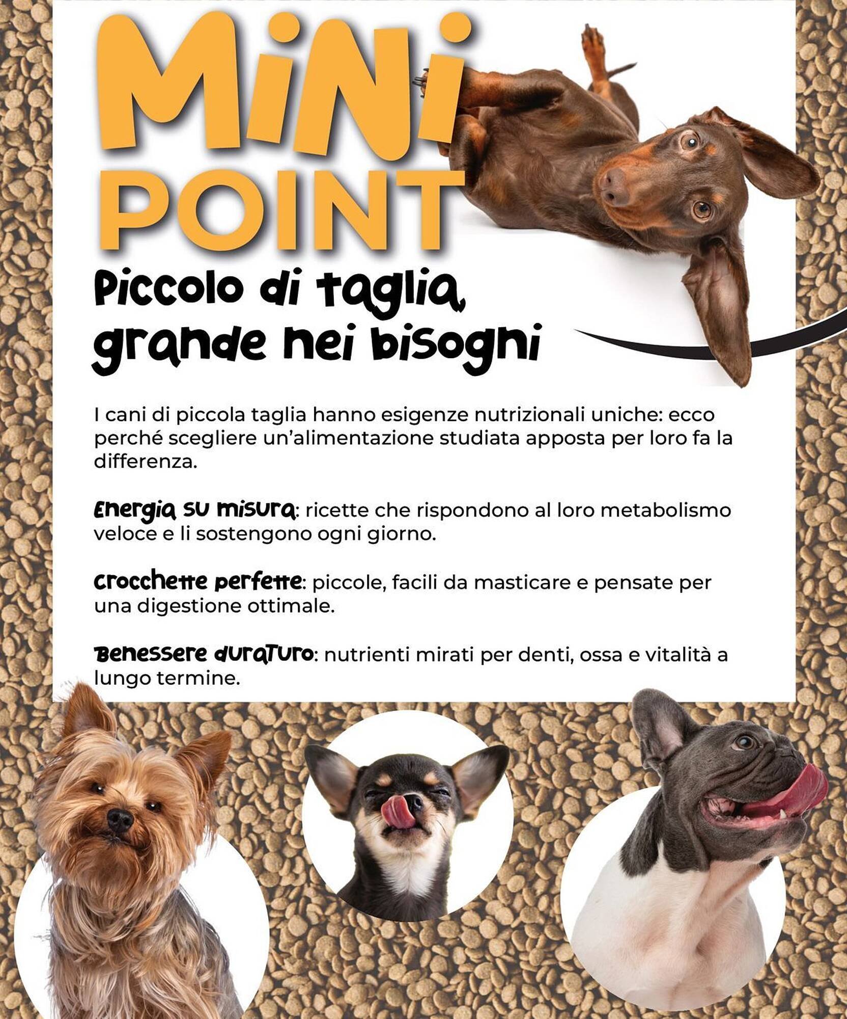 Volantino Arcaplanet (2025-10-01 - 2025-10-19)