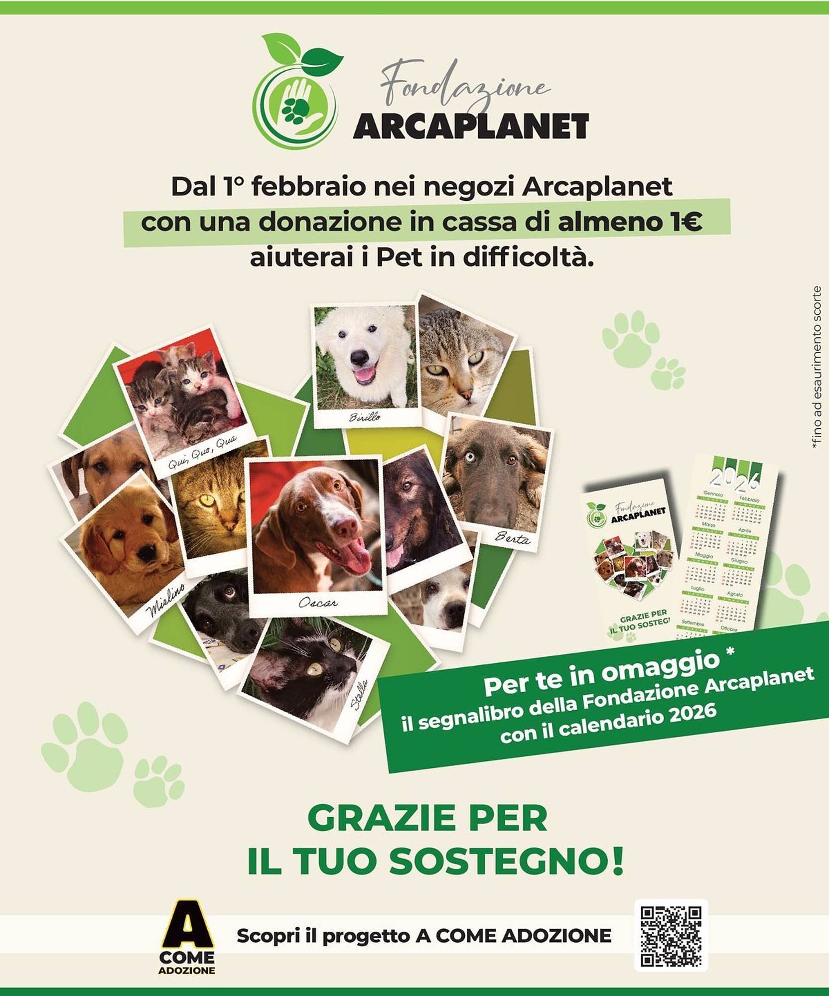 Volantino Arcaplanet (2026-02-16 - 2026-02-28)