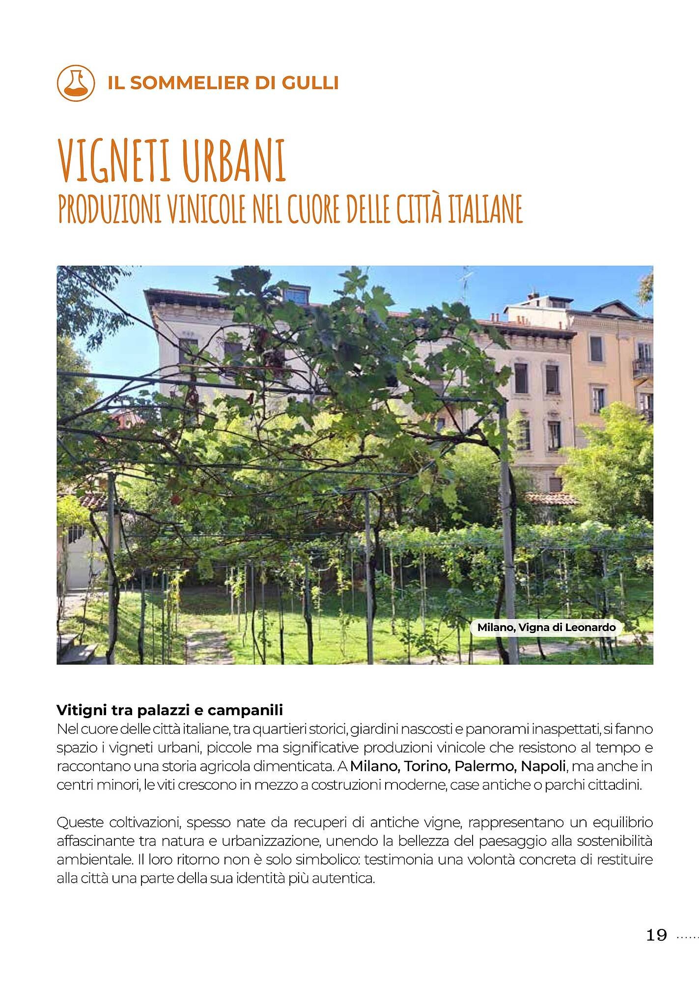 Volantino Supermercati Gulliver (2025-08-01 - 2025-08-31)