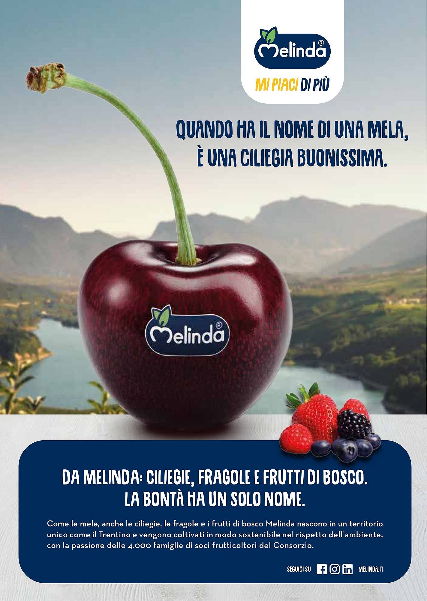 Volantino Supermercati Gulliver (2025-08-01 - 2025-08-31)