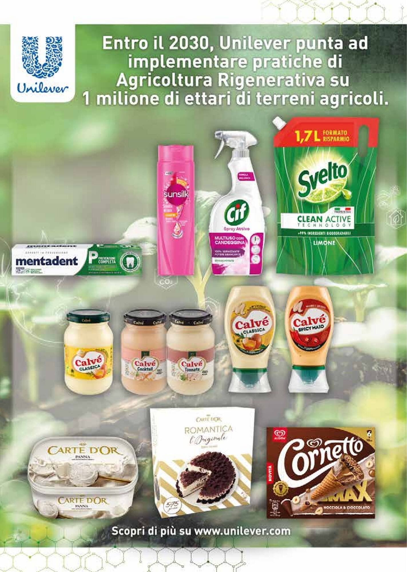 Volantino Supermercati Gulliver (2025-08-01 - 2025-08-31)