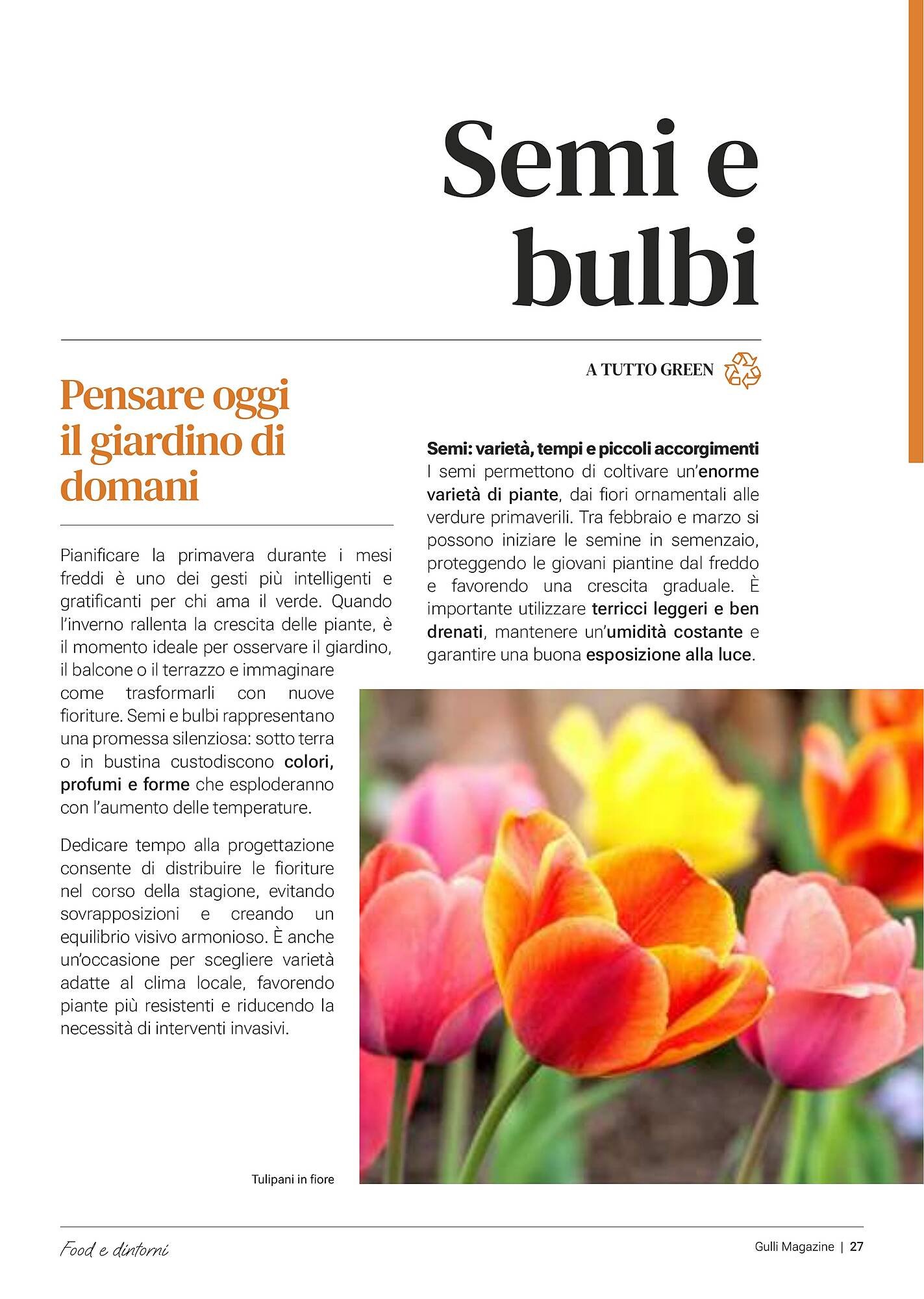 Volantino Supermercati Gulliver (2026-02-03 - 2026-02-28)