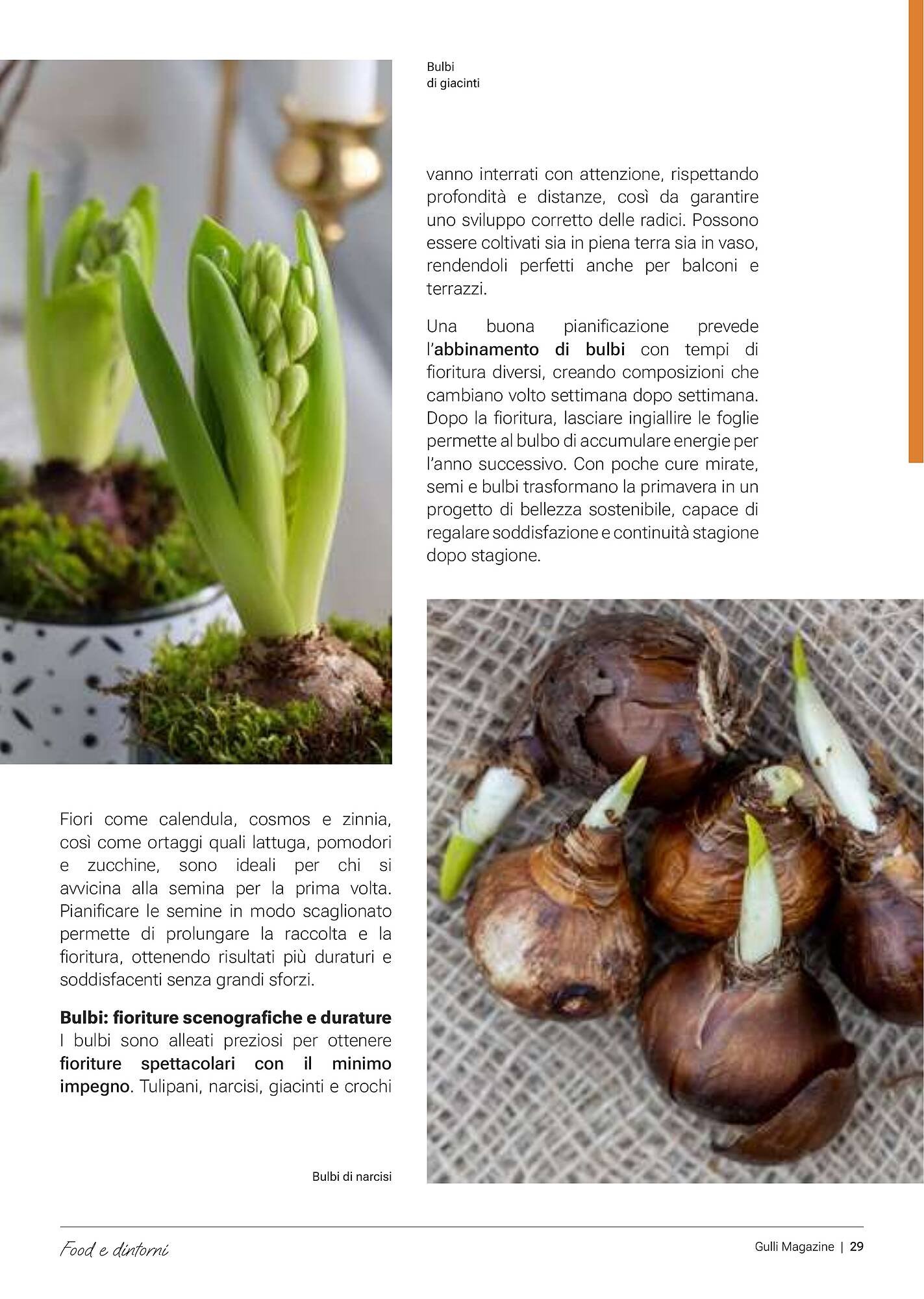 Volantino Supermercati Gulliver (2026-02-03 - 2026-02-28)