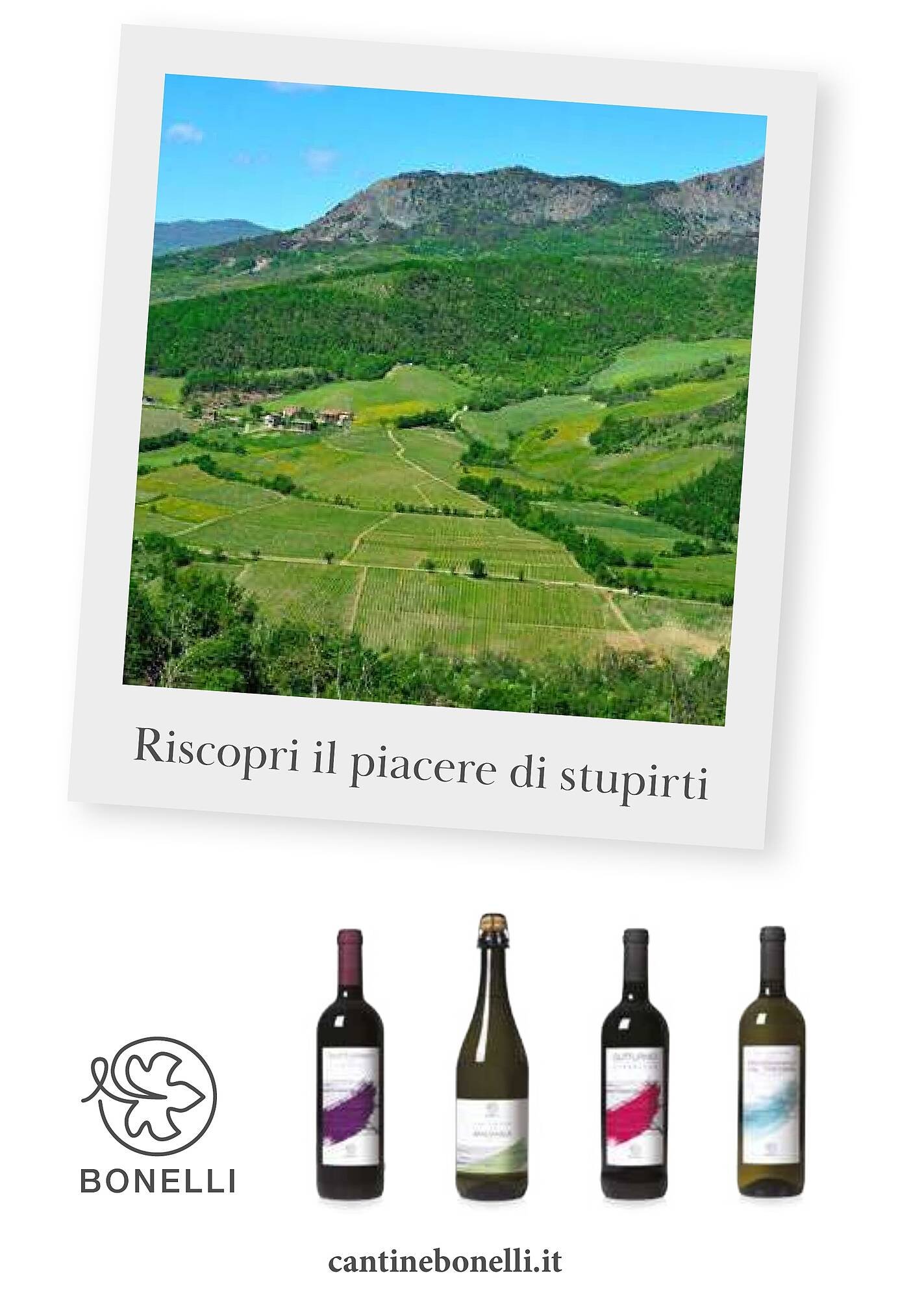 Volantino Supermercati Gulliver (2026-02-03 - 2026-02-28)