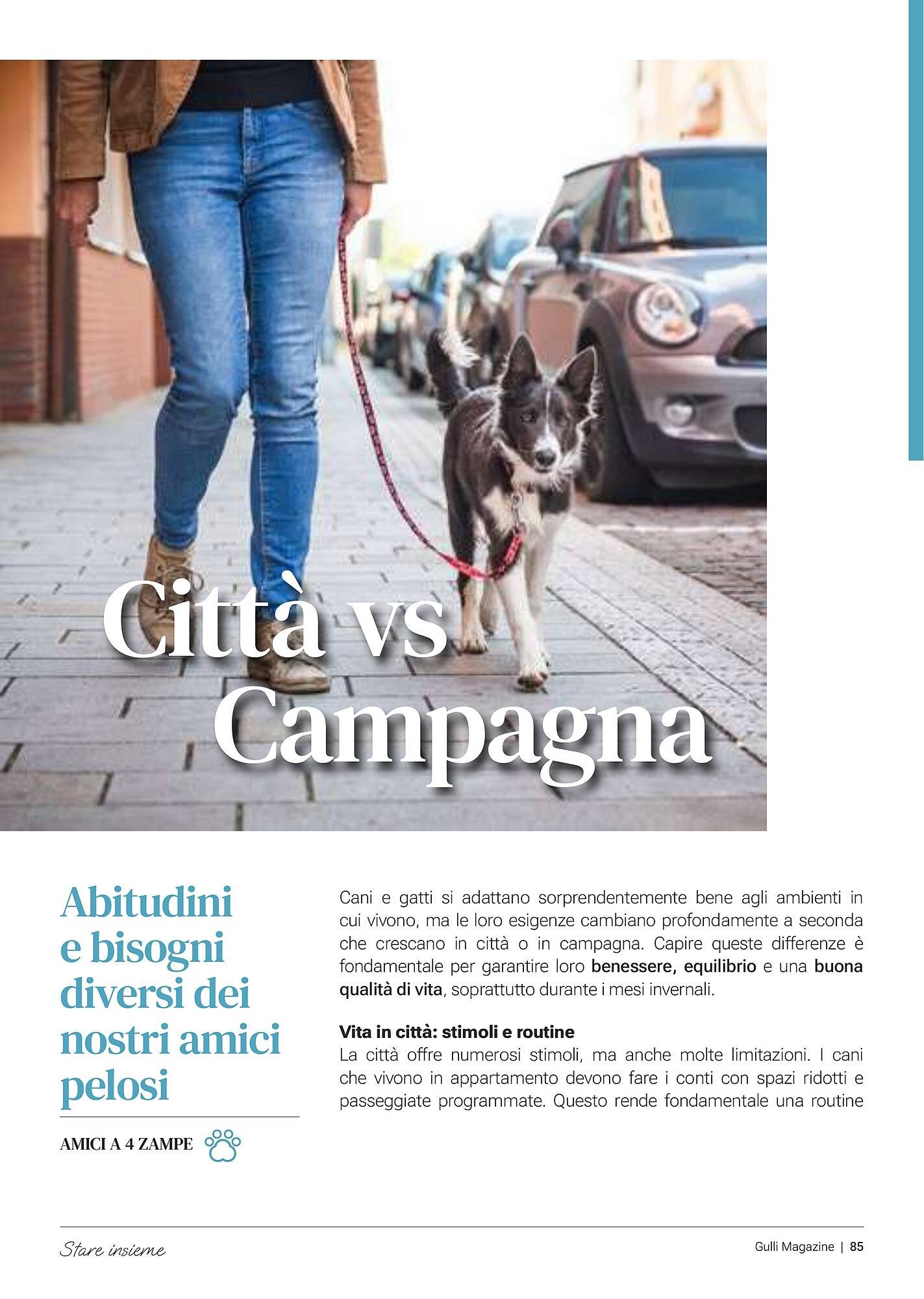 Volantino Supermercati Gulliver (2026-02-03 - 2026-02-28)