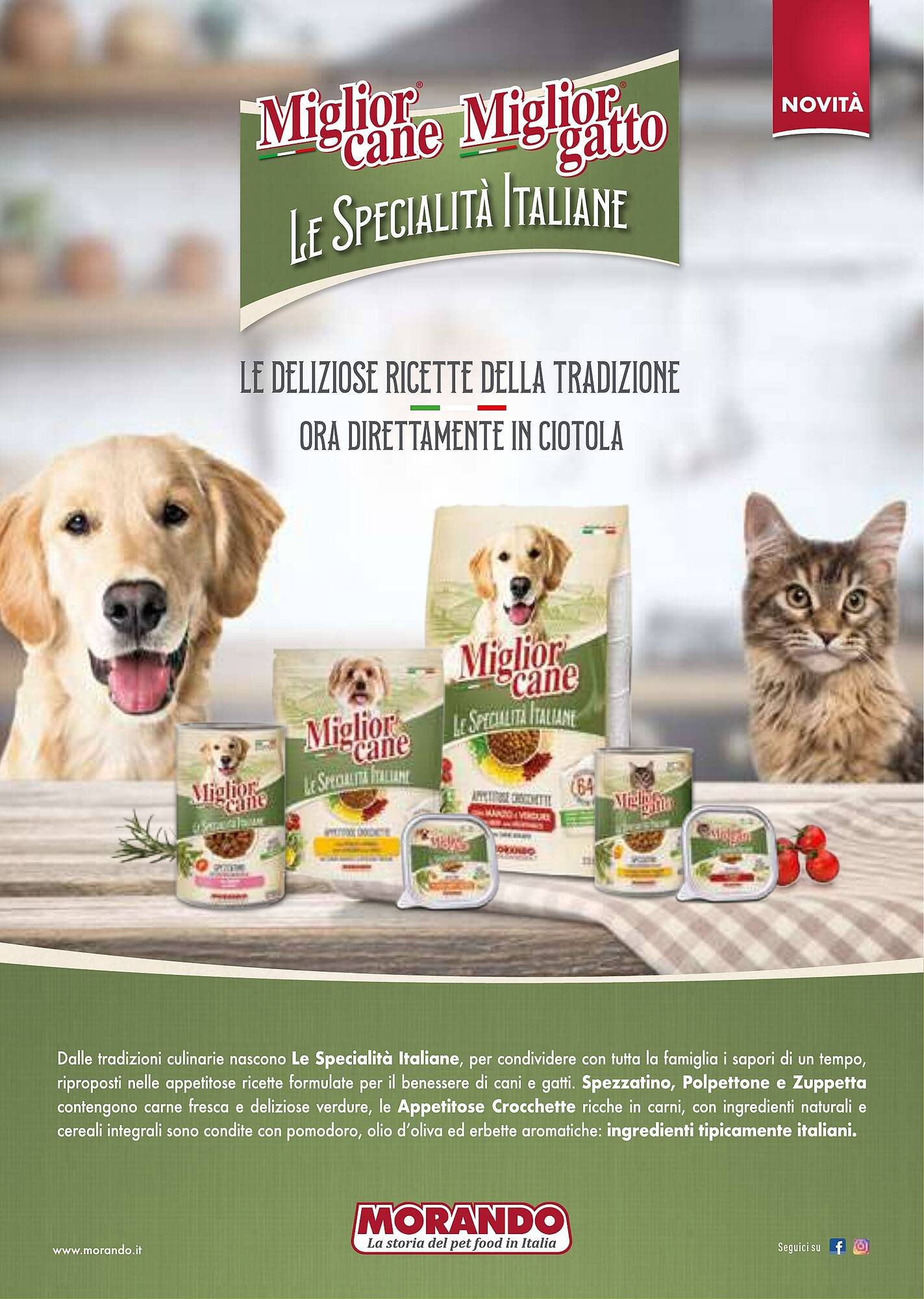 Volantino Supermercati Gulliver (2026-02-03 - 2026-02-28)