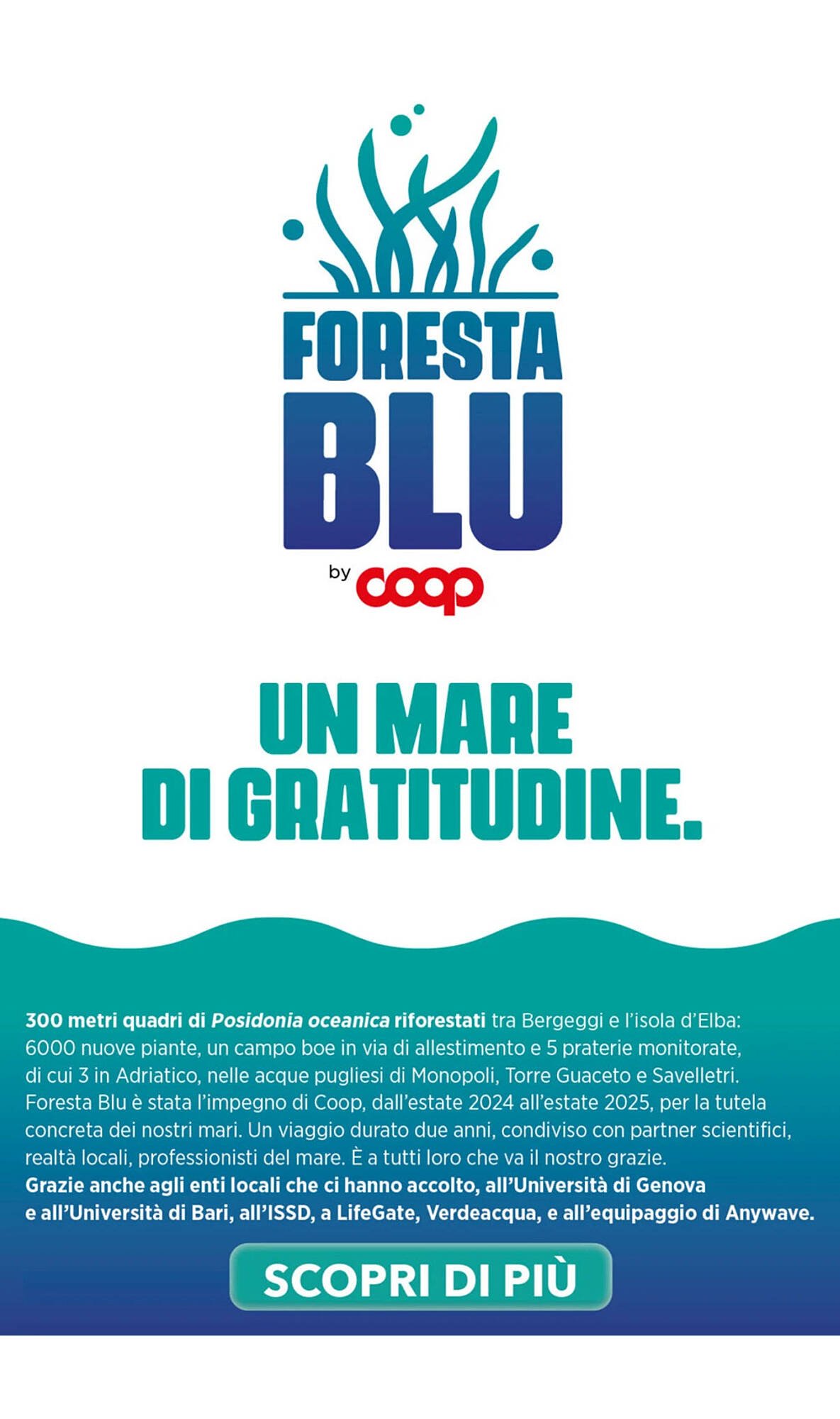 Volantino Ipercoop (2026-04-07 - 2026-05-06)