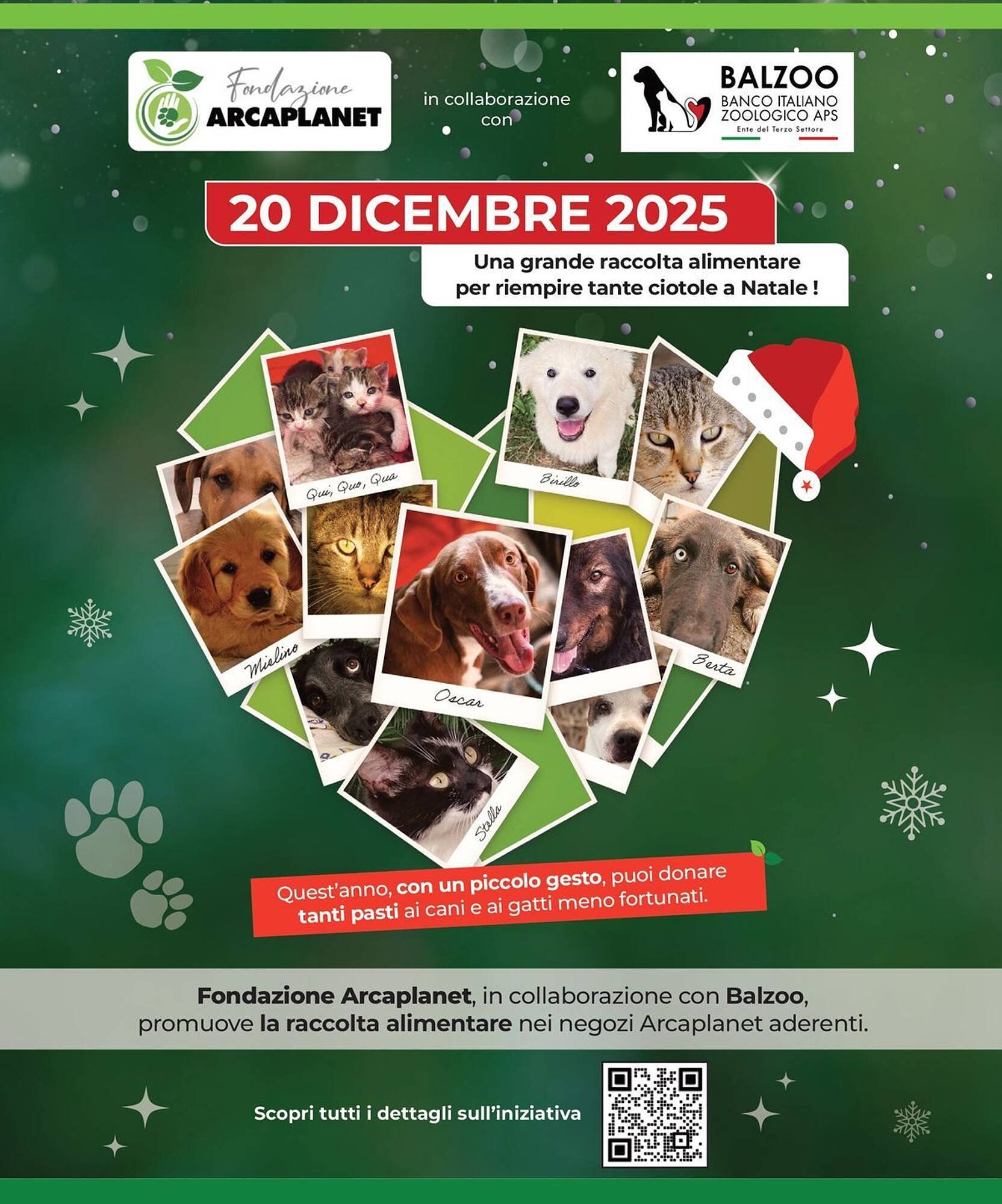 Volantino Arcaplanet (2025-12-15 - 2025-12-21)
