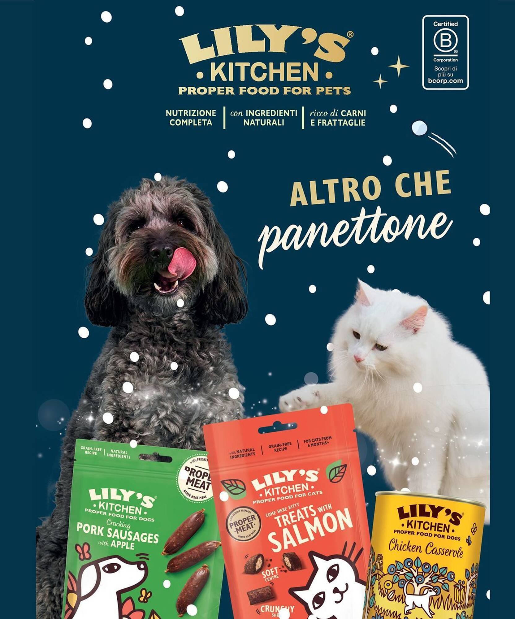 Volantino Arcaplanet (2025-12-15 - 2025-12-21)