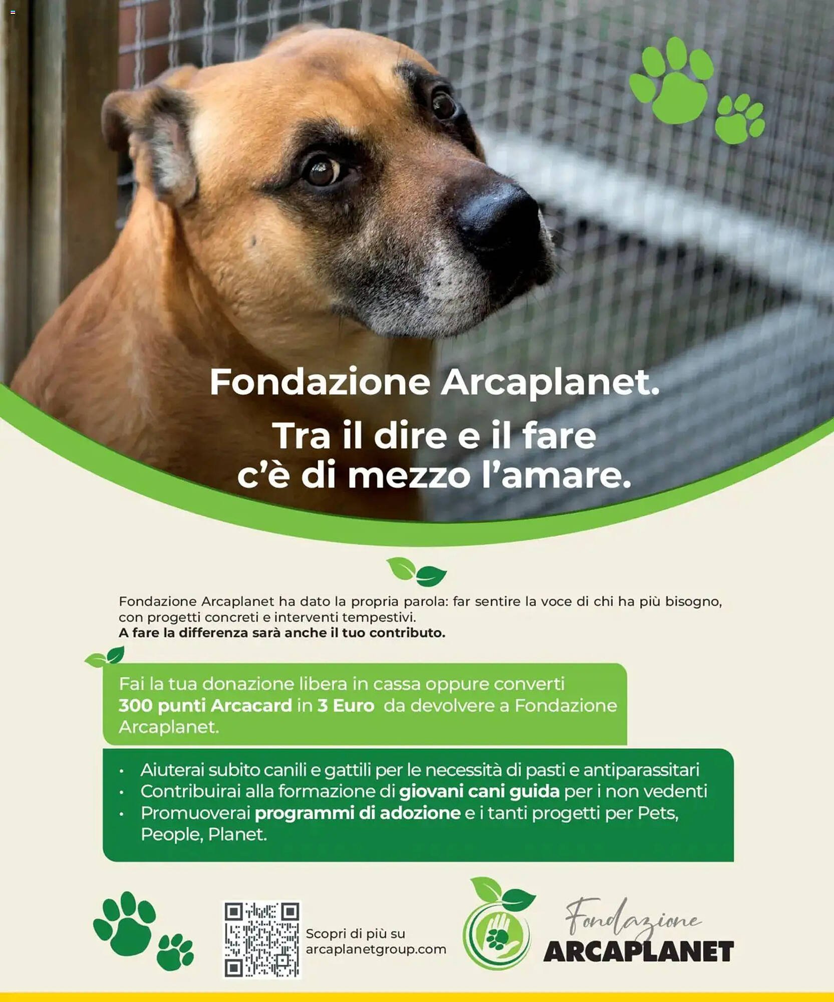 Volantino Arcaplanet (2025-12-29 - 2026-01-07)