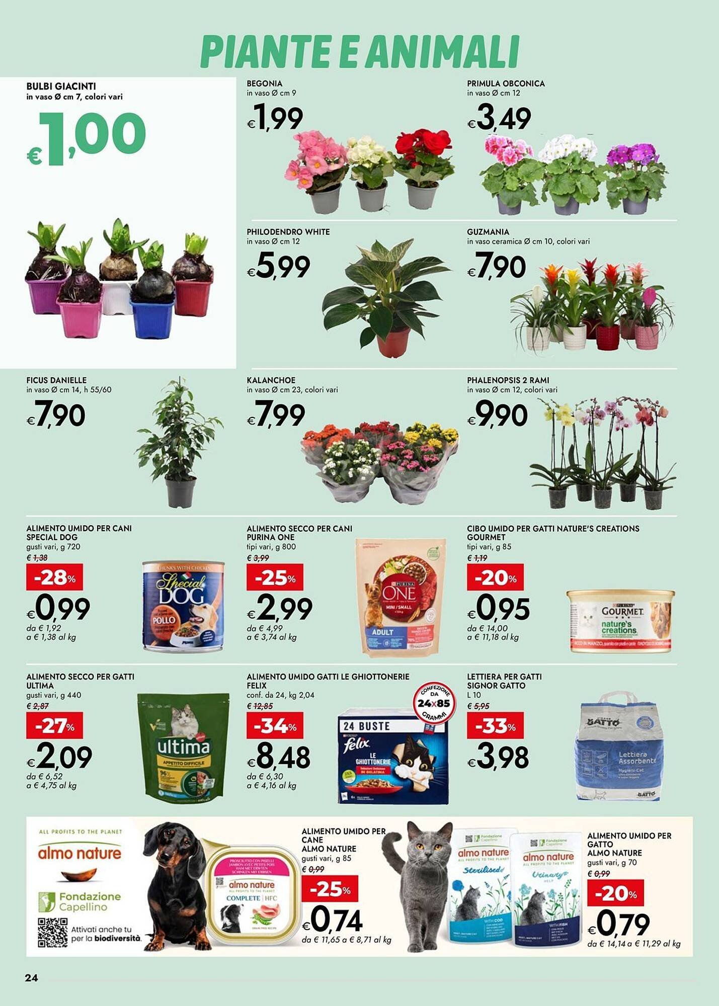 Volantino Bennet (2026-01-02 - 2026-01-14)