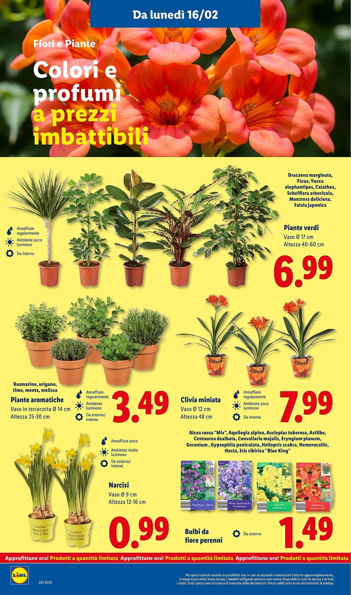 Volantino Lidl (2026-02-16 - 2026-02-22)